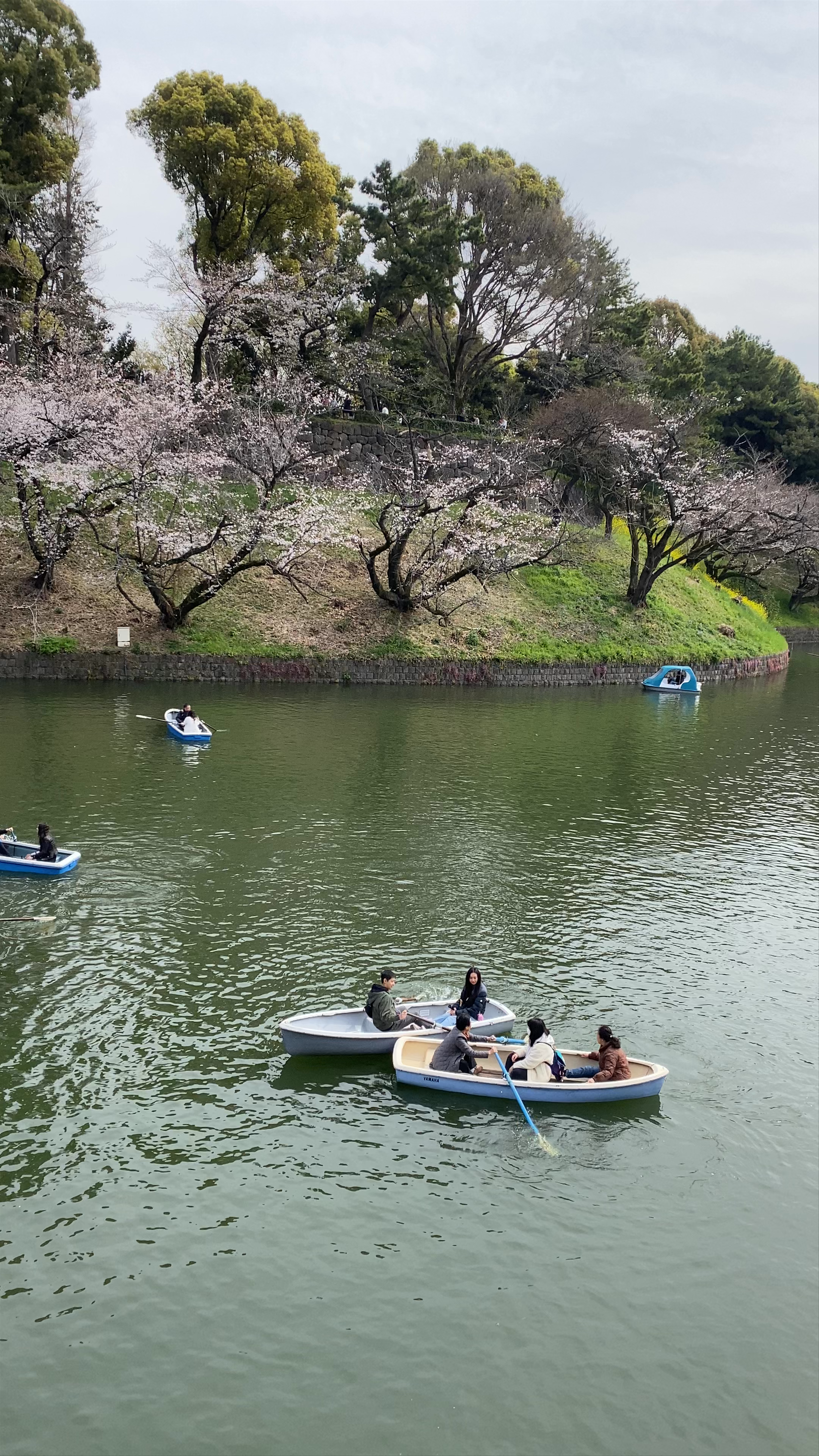 Chidorigafuchi Boat Pier