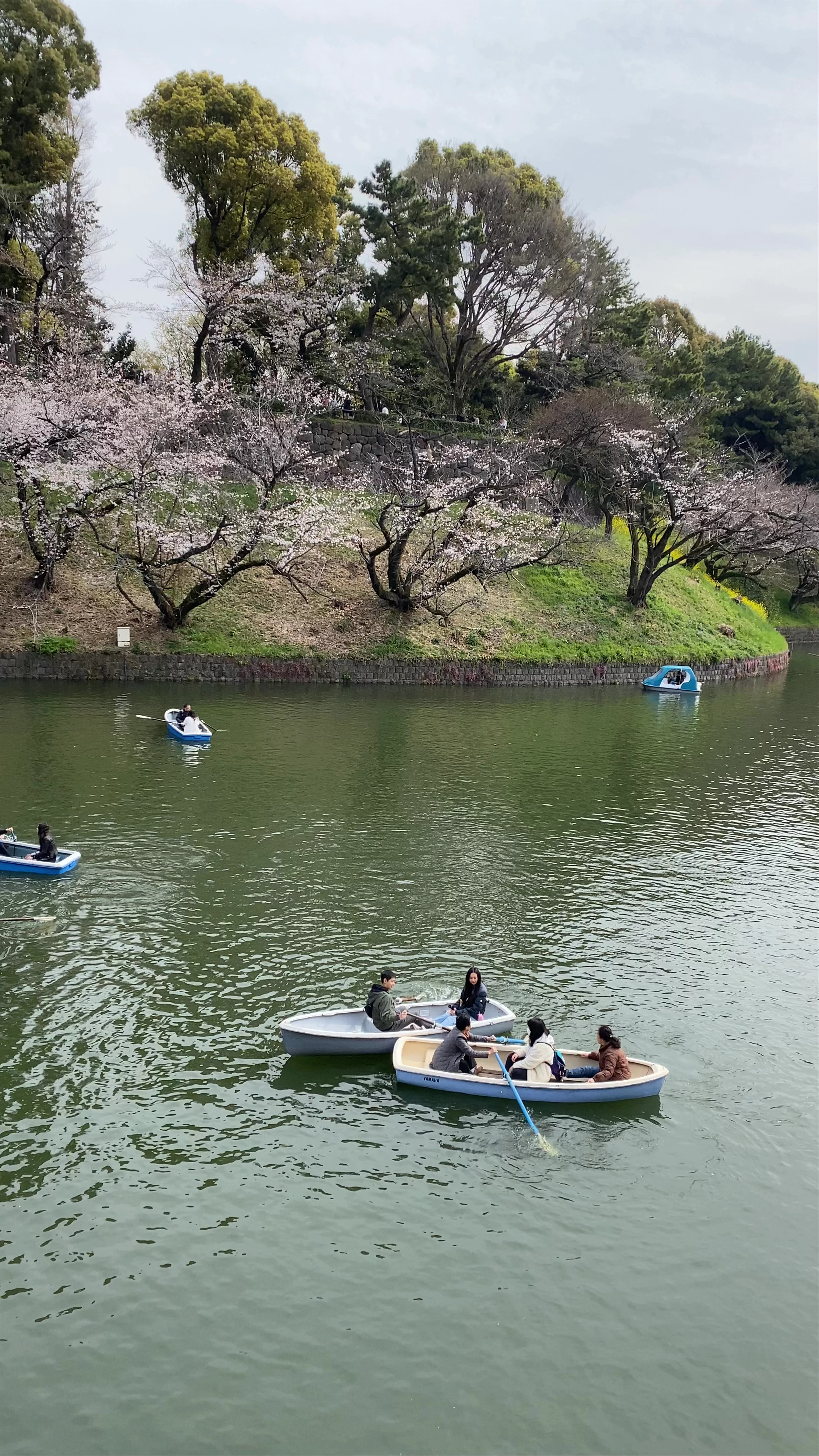 Chidorigafuchi Boat Pier