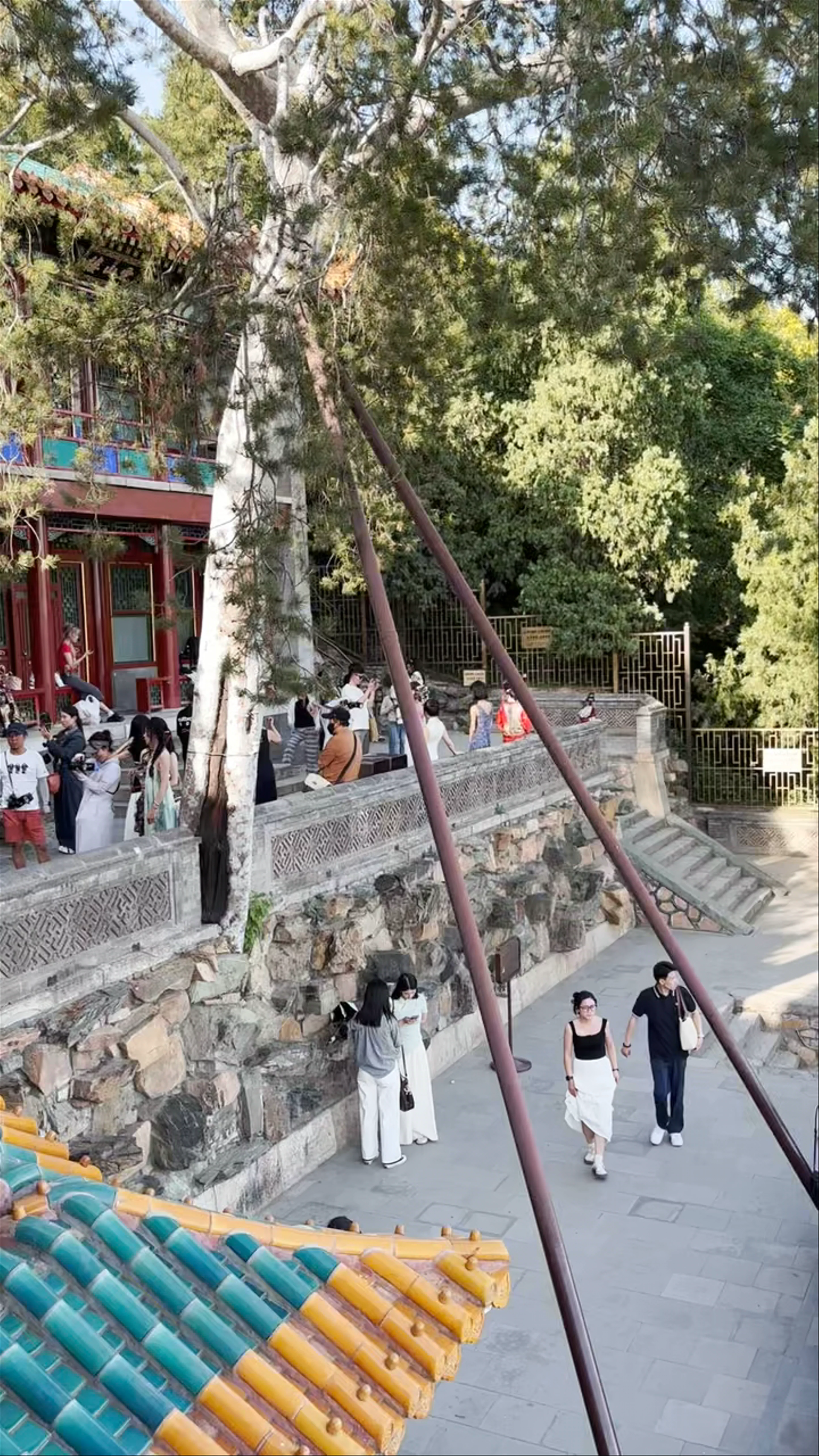 Hua Zhongyou, Haidian District