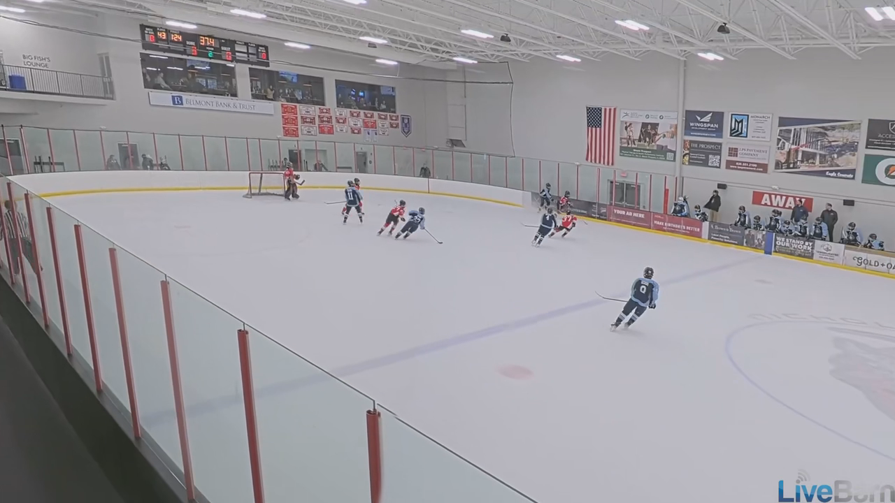 Gavin Perkovich Shines with Highlights from Chicago Reapers 14U AAA