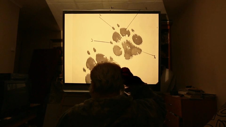 Skype “Finding Donut” Long Form