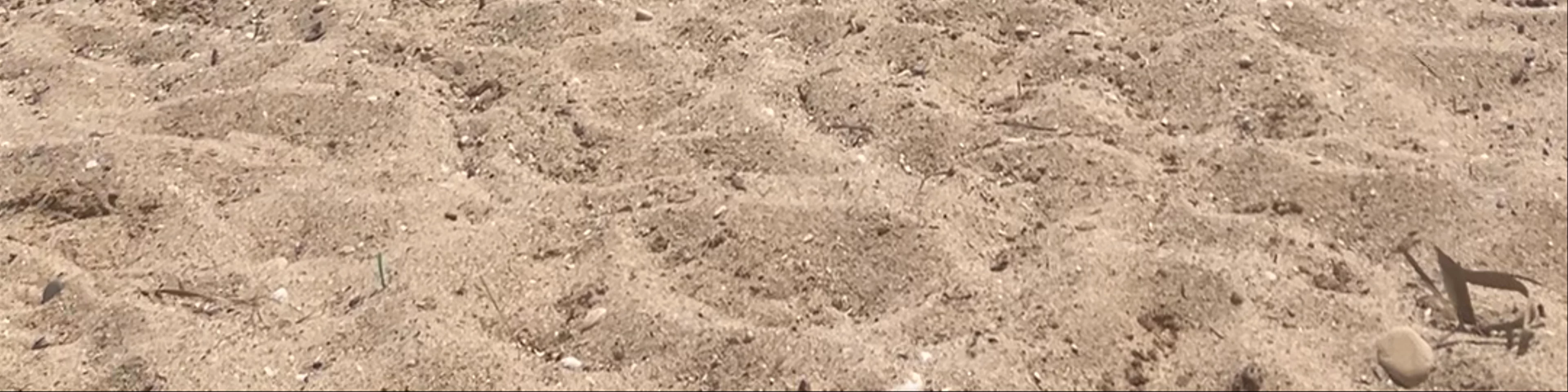 Wet wet beach bar