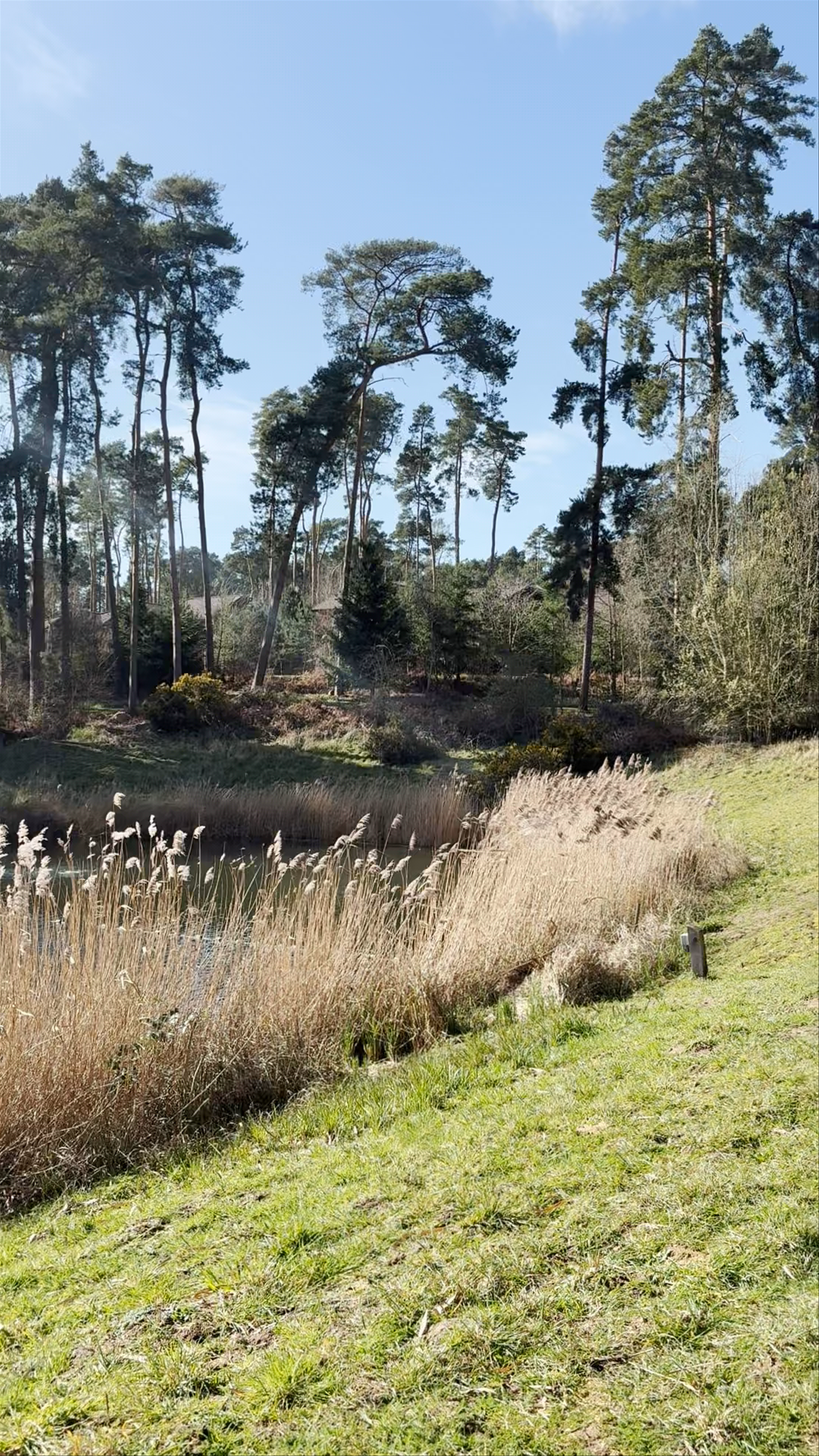 Woburn Forest Lake