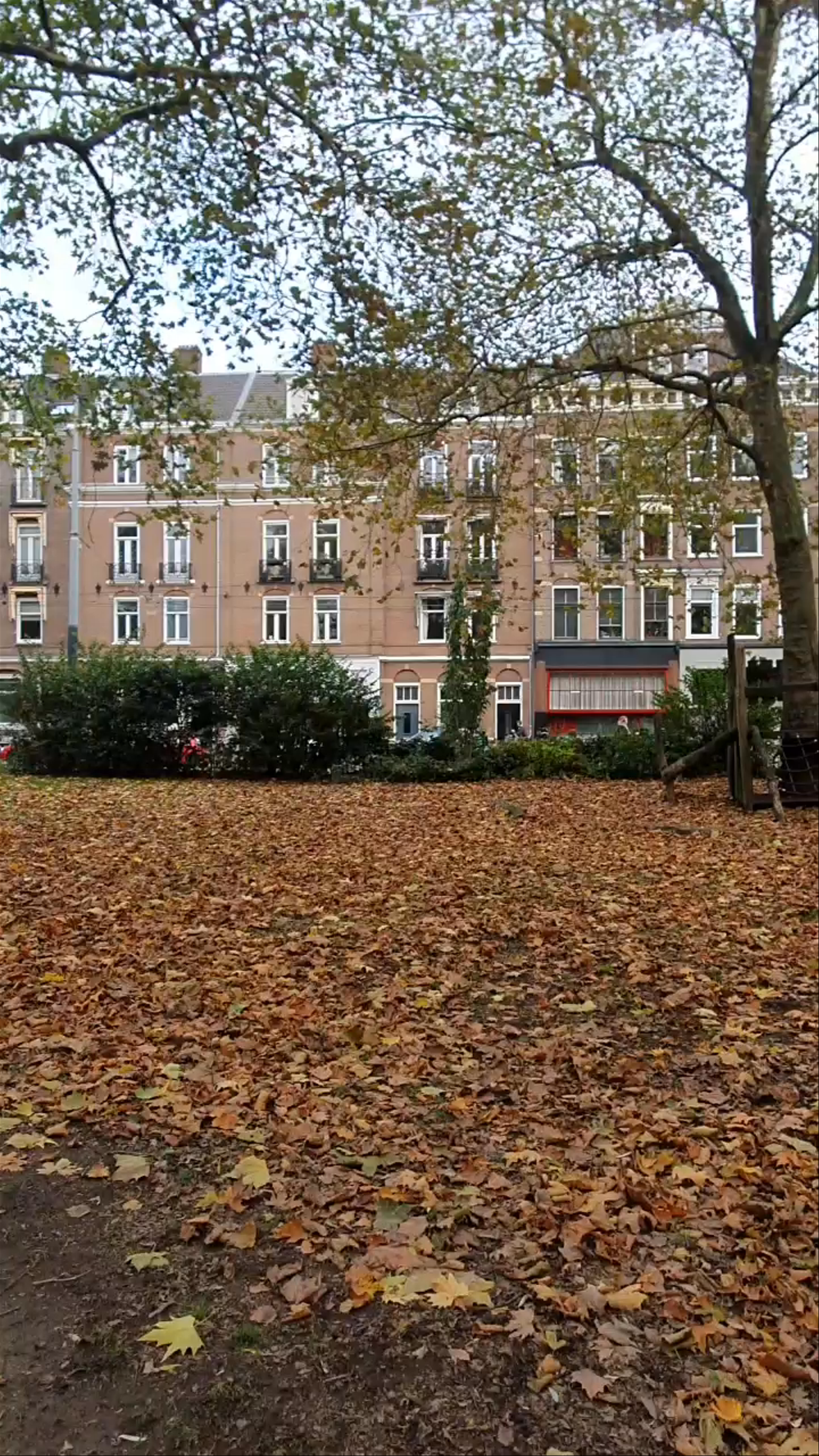 De Kruidenpluktuin van de Weteringbuurt