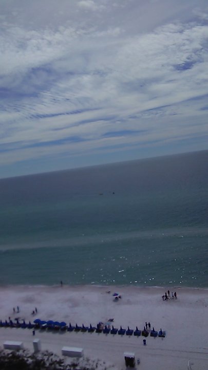 Aqua - Nice view - Hotels Near Me - Panama City Beach, Florida