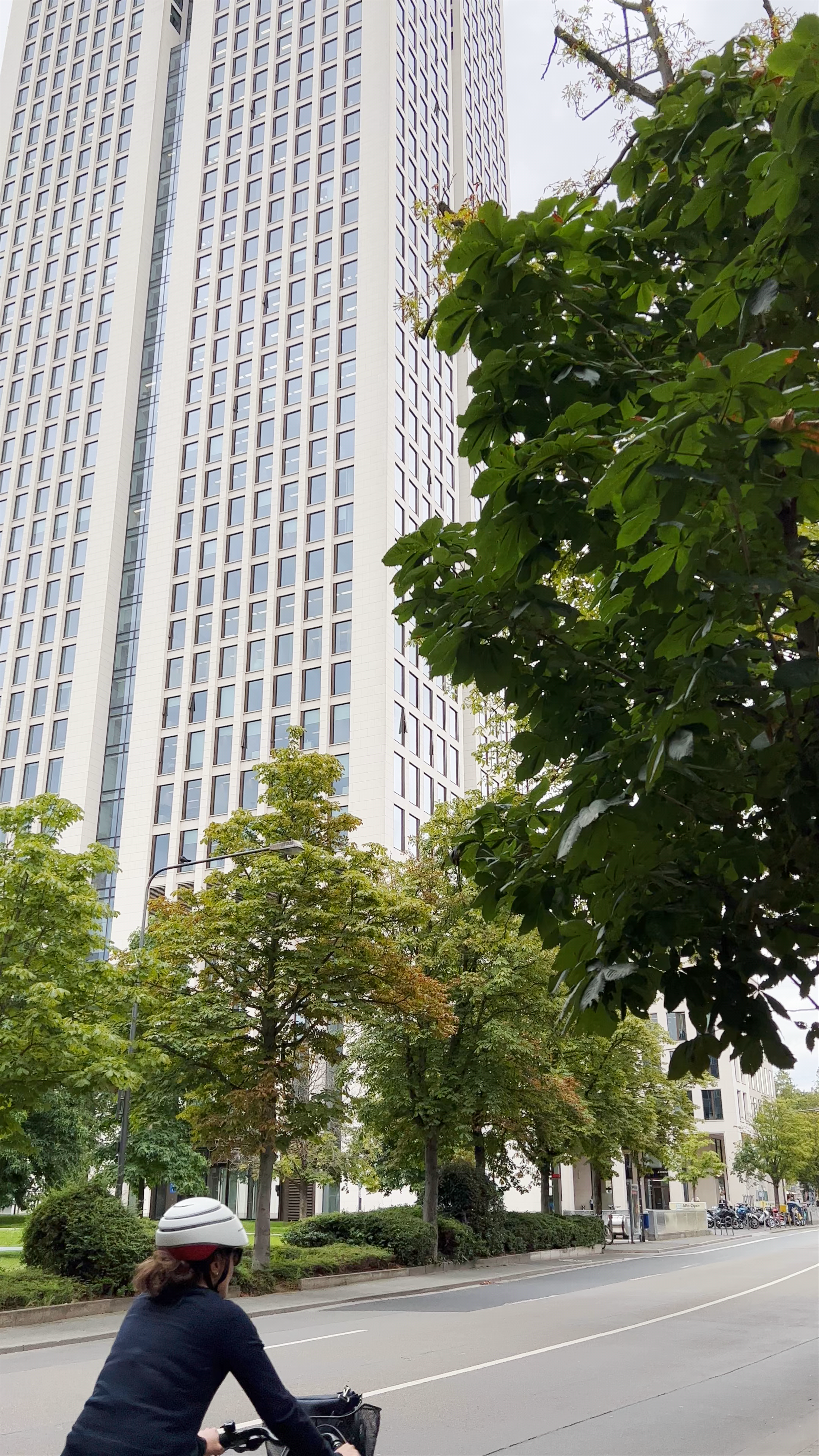 Rothschildpark