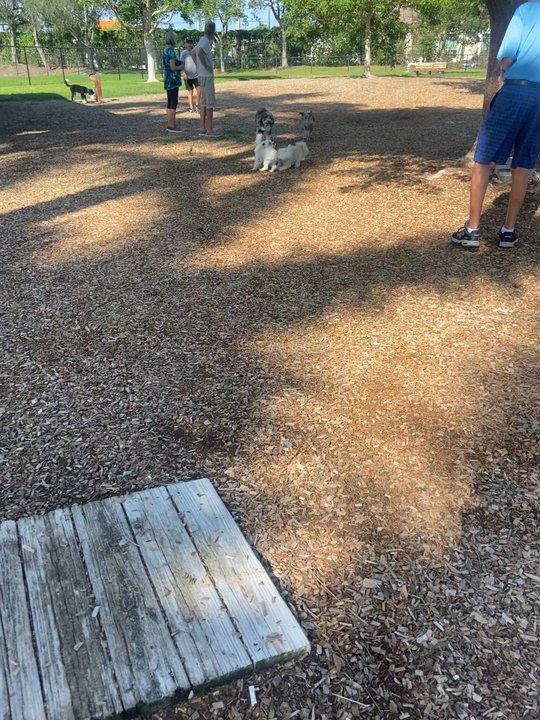 Naples Dog Park - Dog Parks Near Me