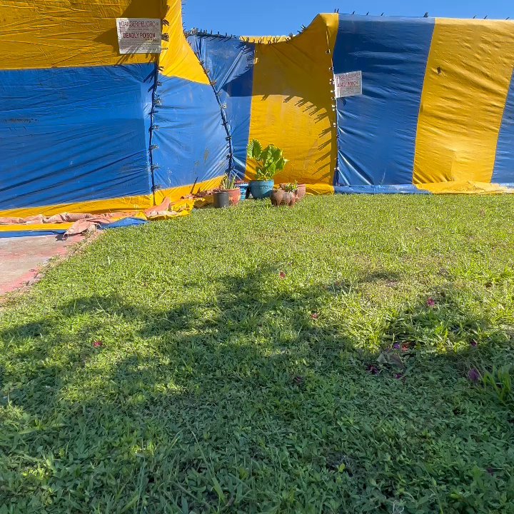 The Termite Boy - Pest Control Near Me - Miami, Florida