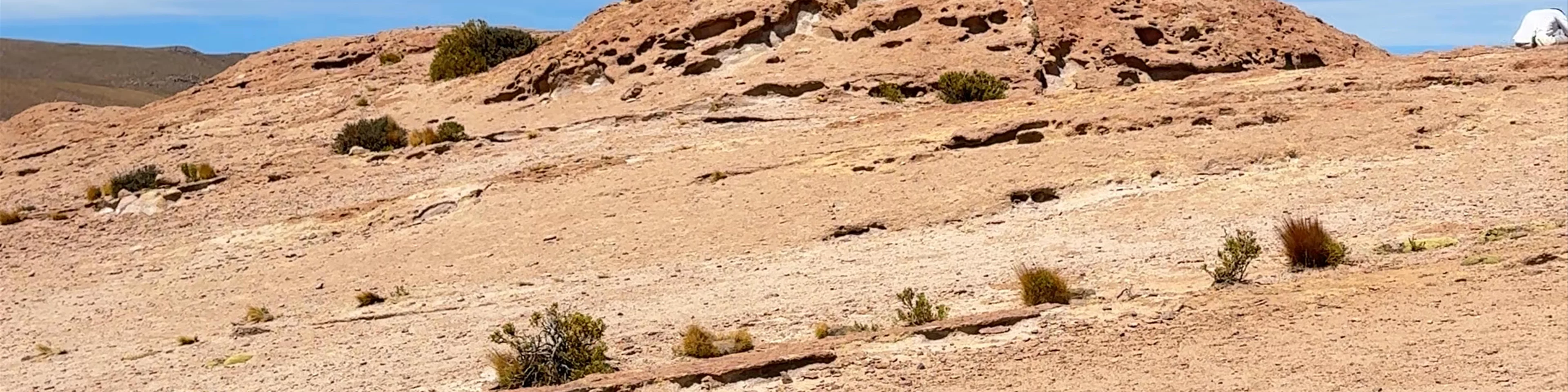 Volcan Ollague