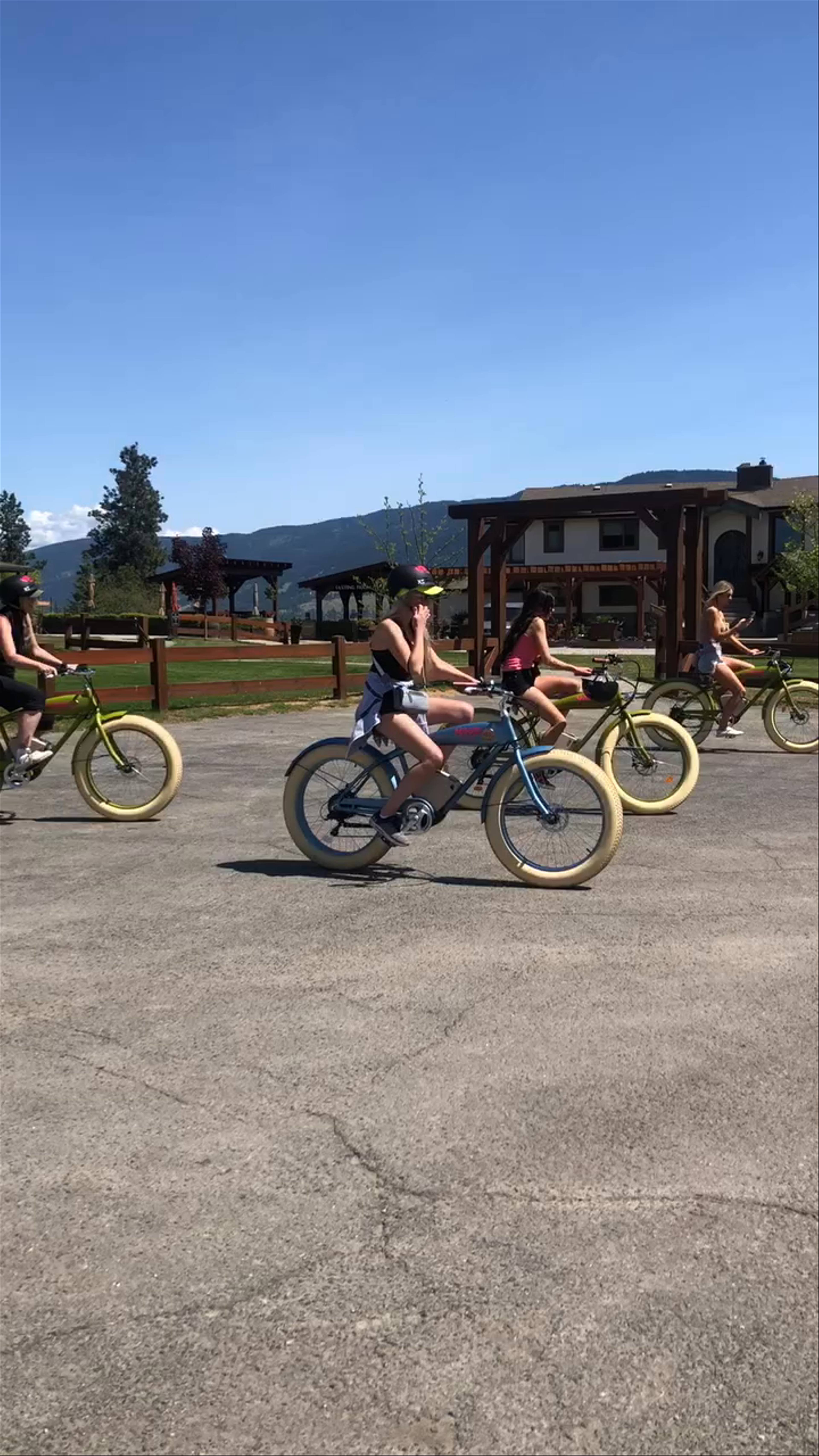 Blind Tiger Vineyards