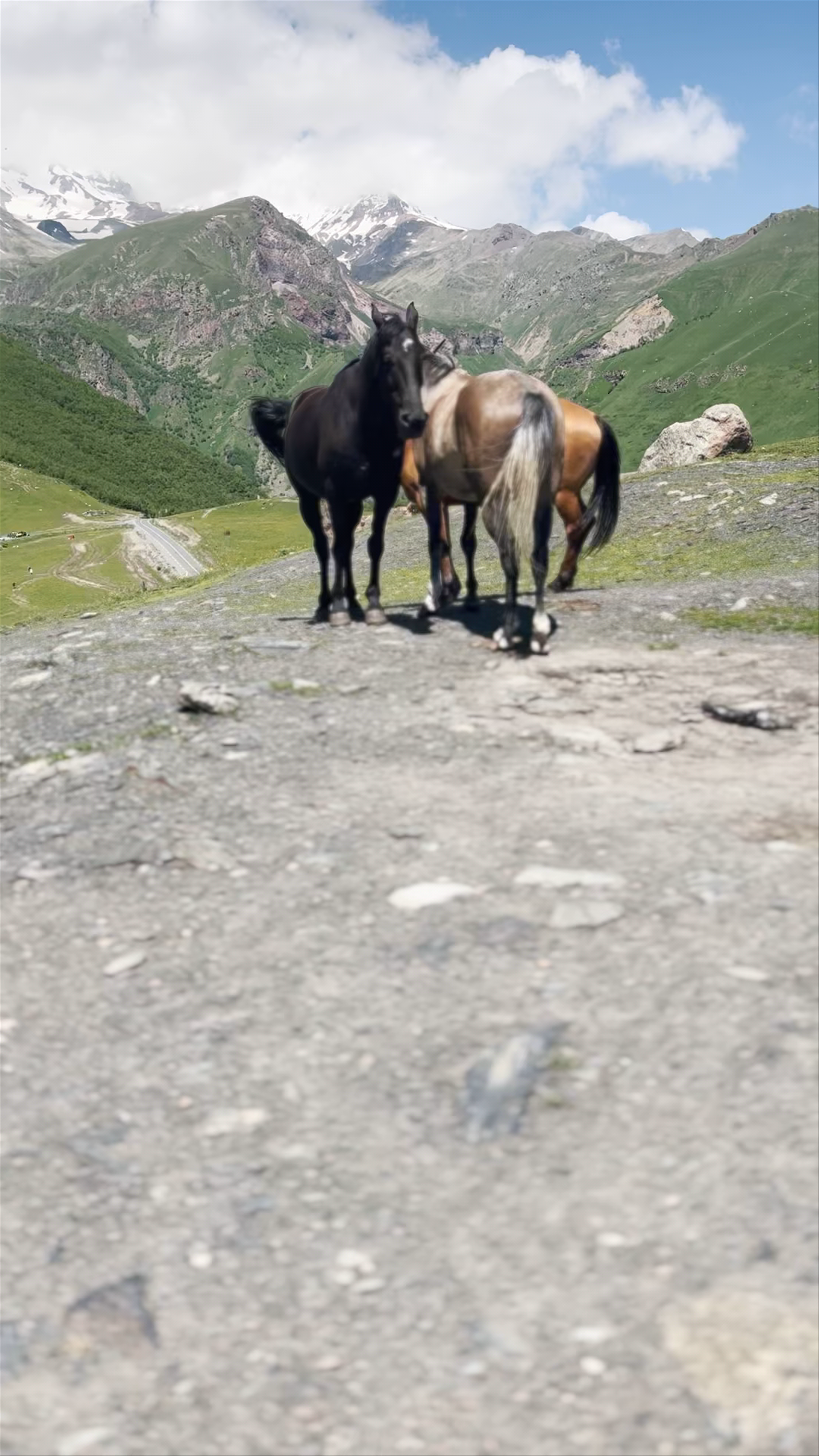 Kazbegi