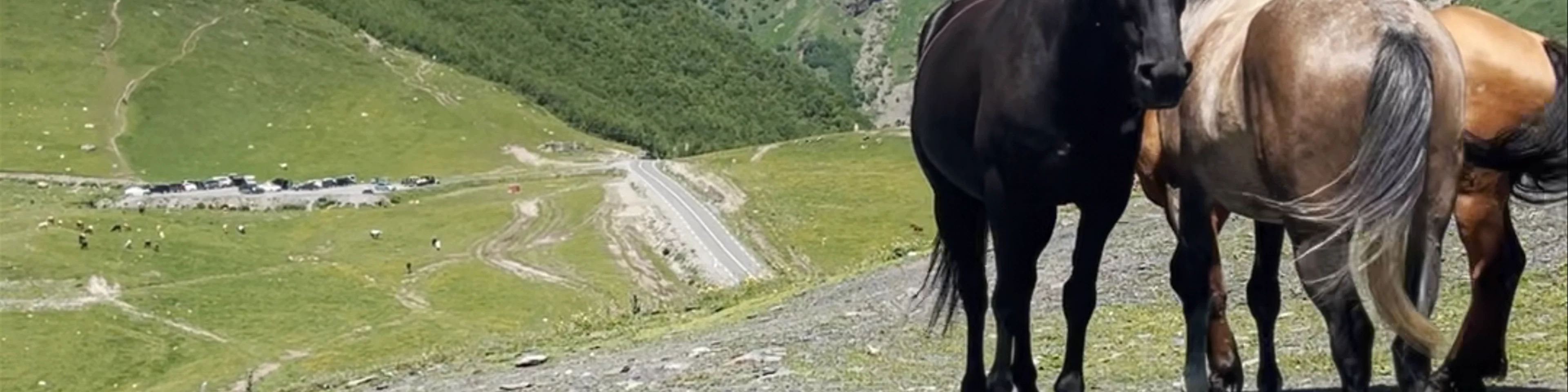 Kazbegi