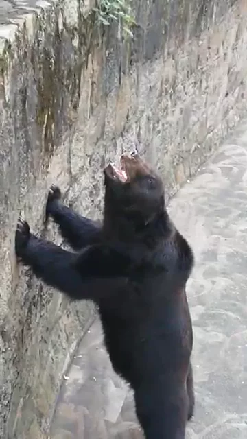 shanghai zoo