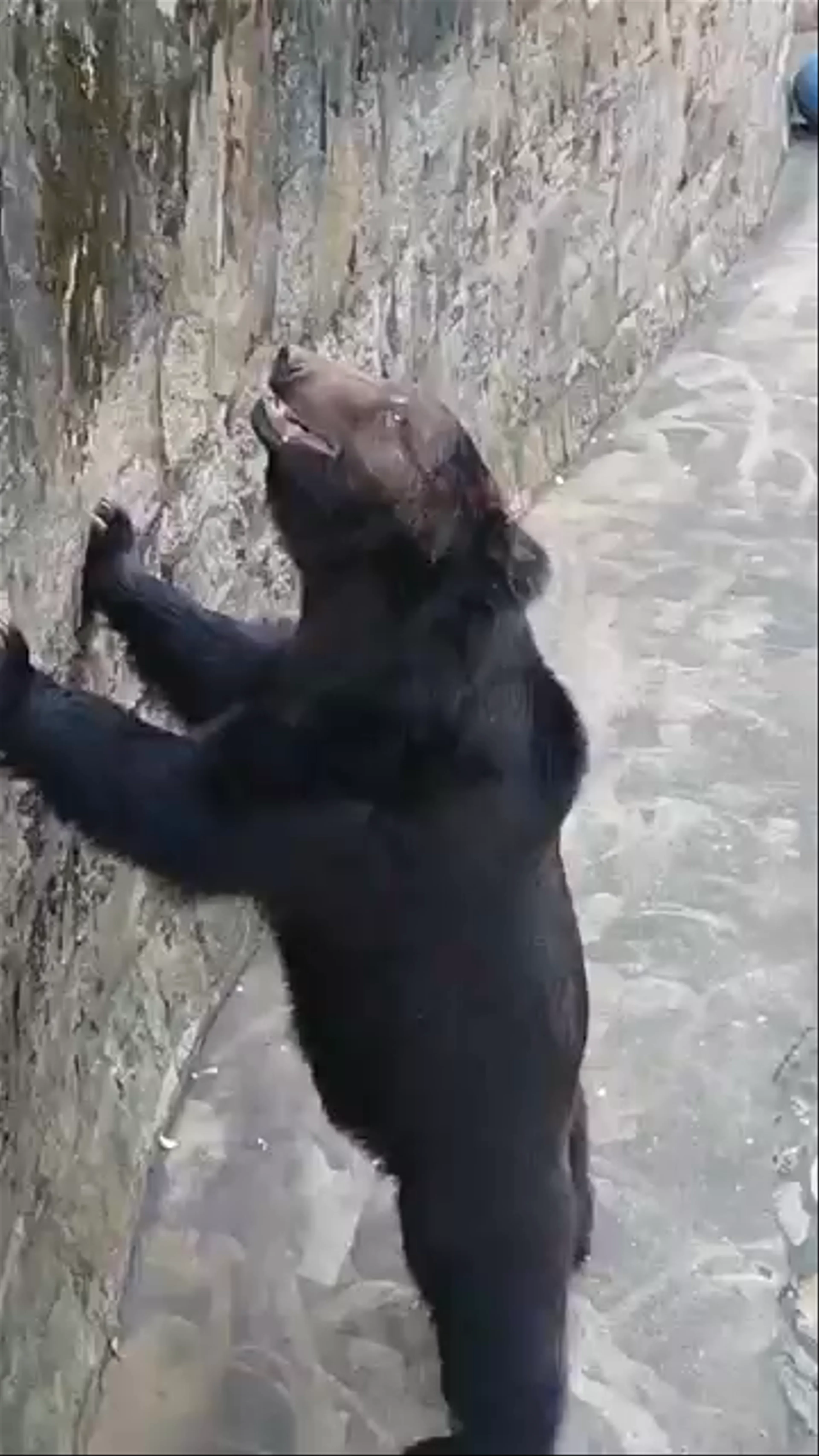Shanghai Zoo