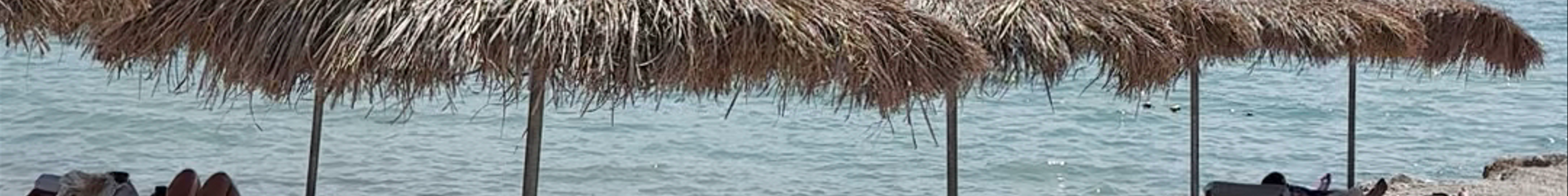 Tours & experiences in Vlorë