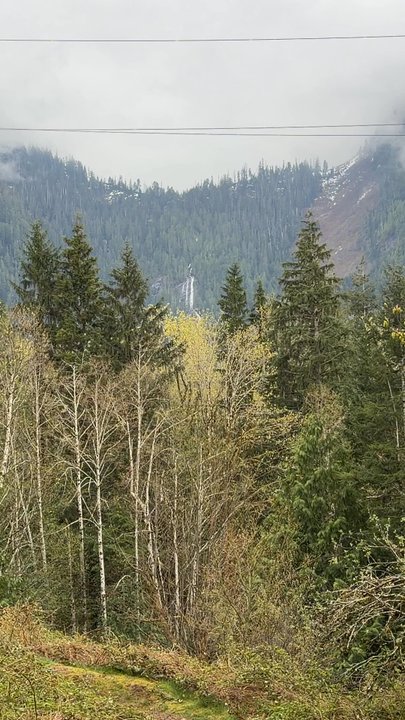 Espresso Chalet - Back deck views - Coffee & Tea Near Me - Gold Bar, Washington