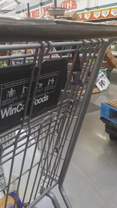 Winco Foods - Too many bugs in this store today - Grocery Near Me - Mesa, Arizona