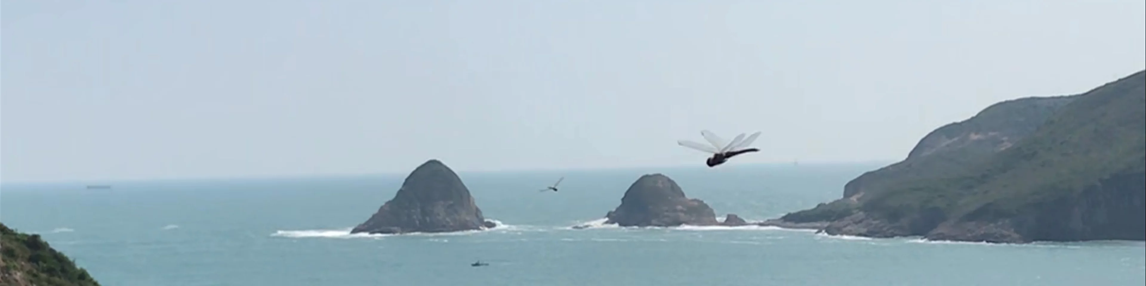 Bluff Island