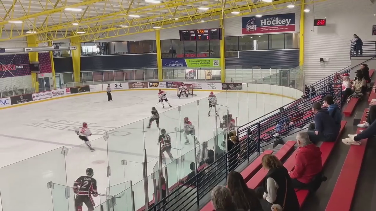 Matthew Lestitian: Dominating Forecheck & Highlight Reel Goals