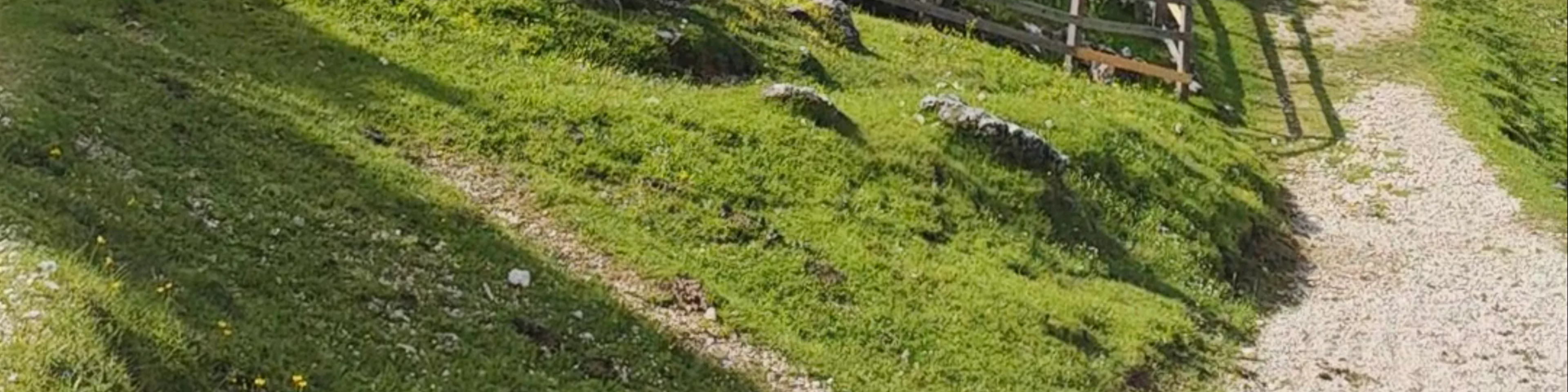 Rifugio Firenze - Regensburgerhütte - Utia de Ncisles