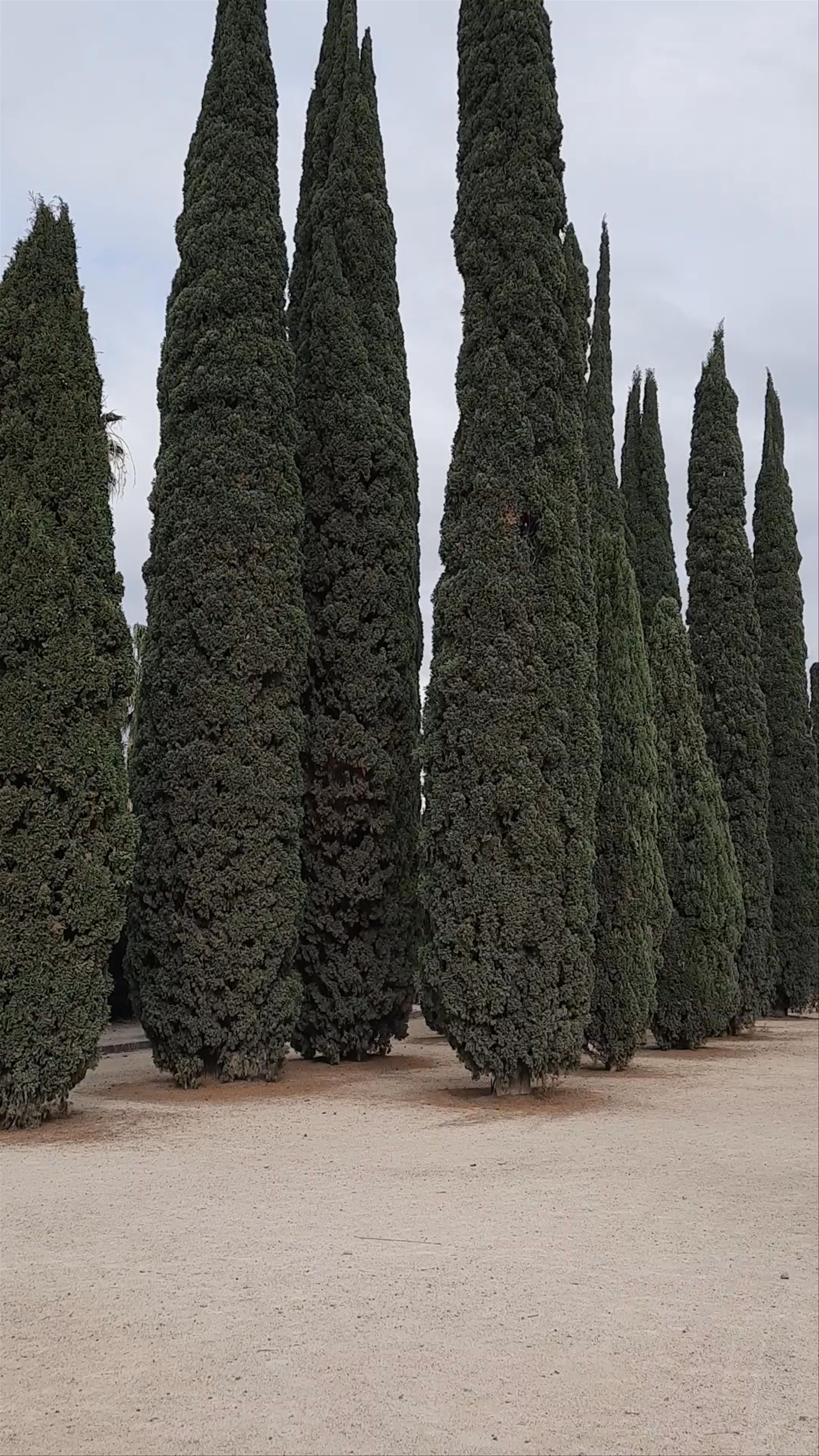 Jardins del Real / Viveres