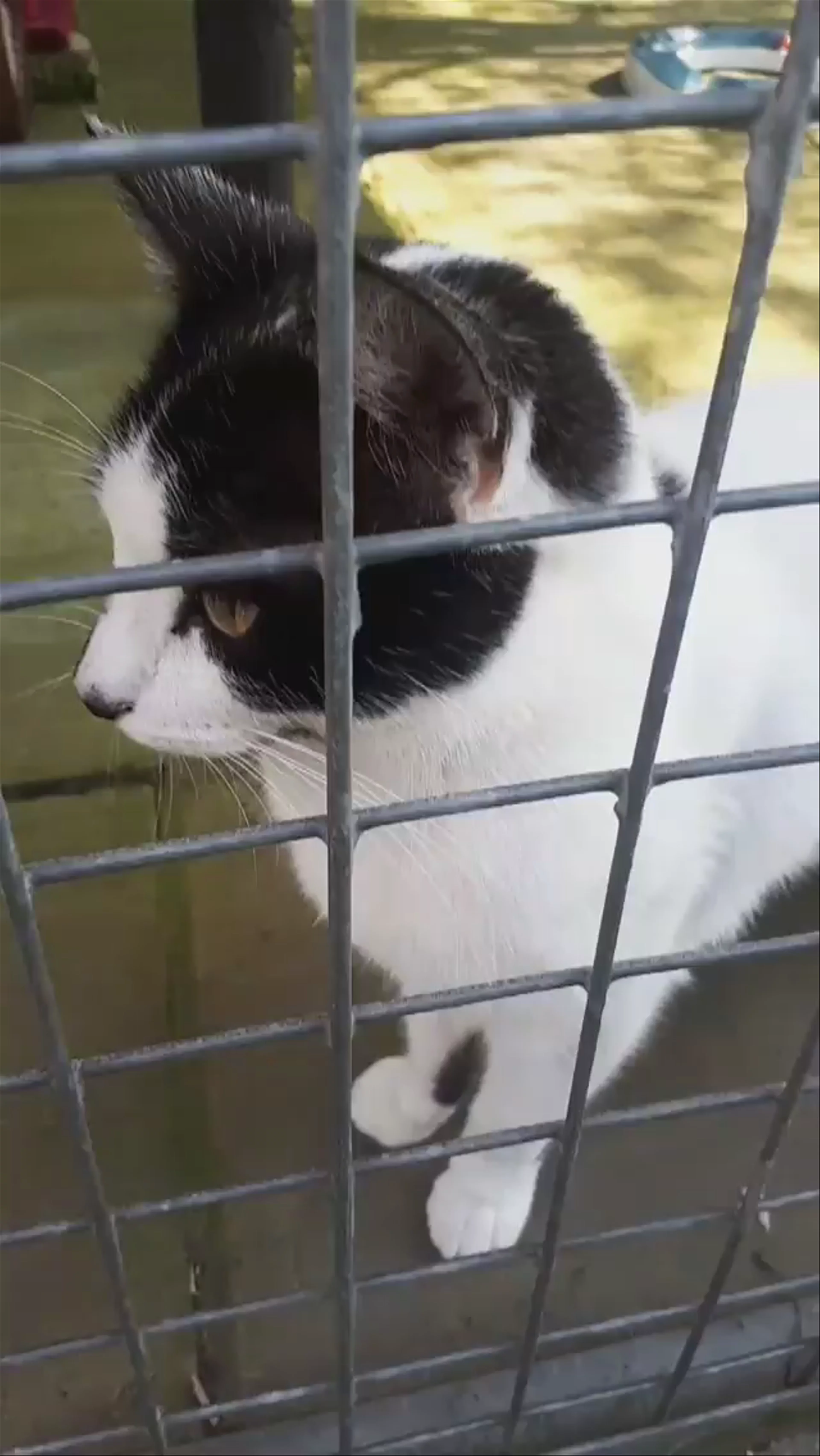 Bleakholt Animal Sanctuary