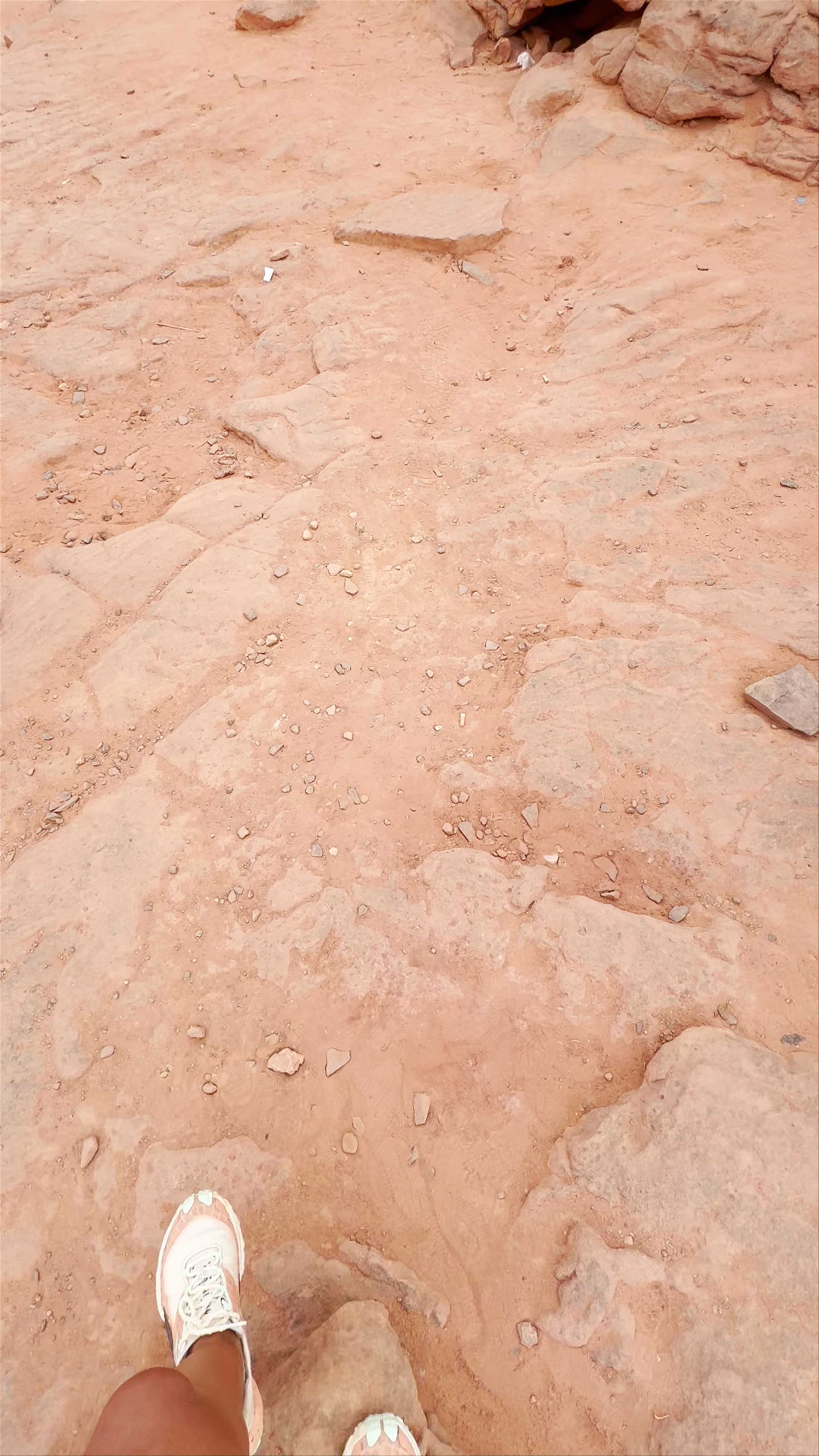 Marco tours، Sharm El Sheikh 1