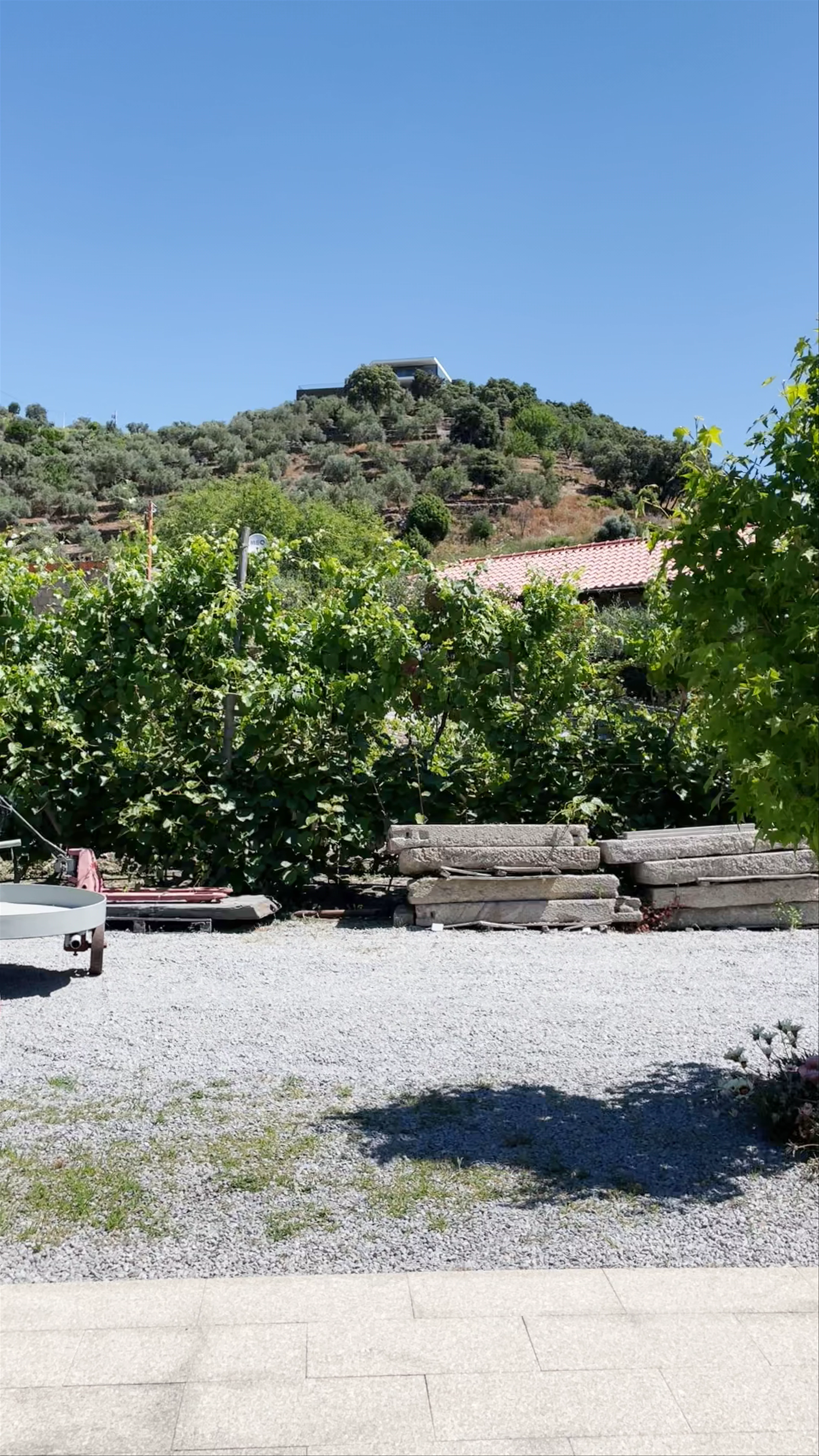 Quinta do Jalloto - Family vineyards