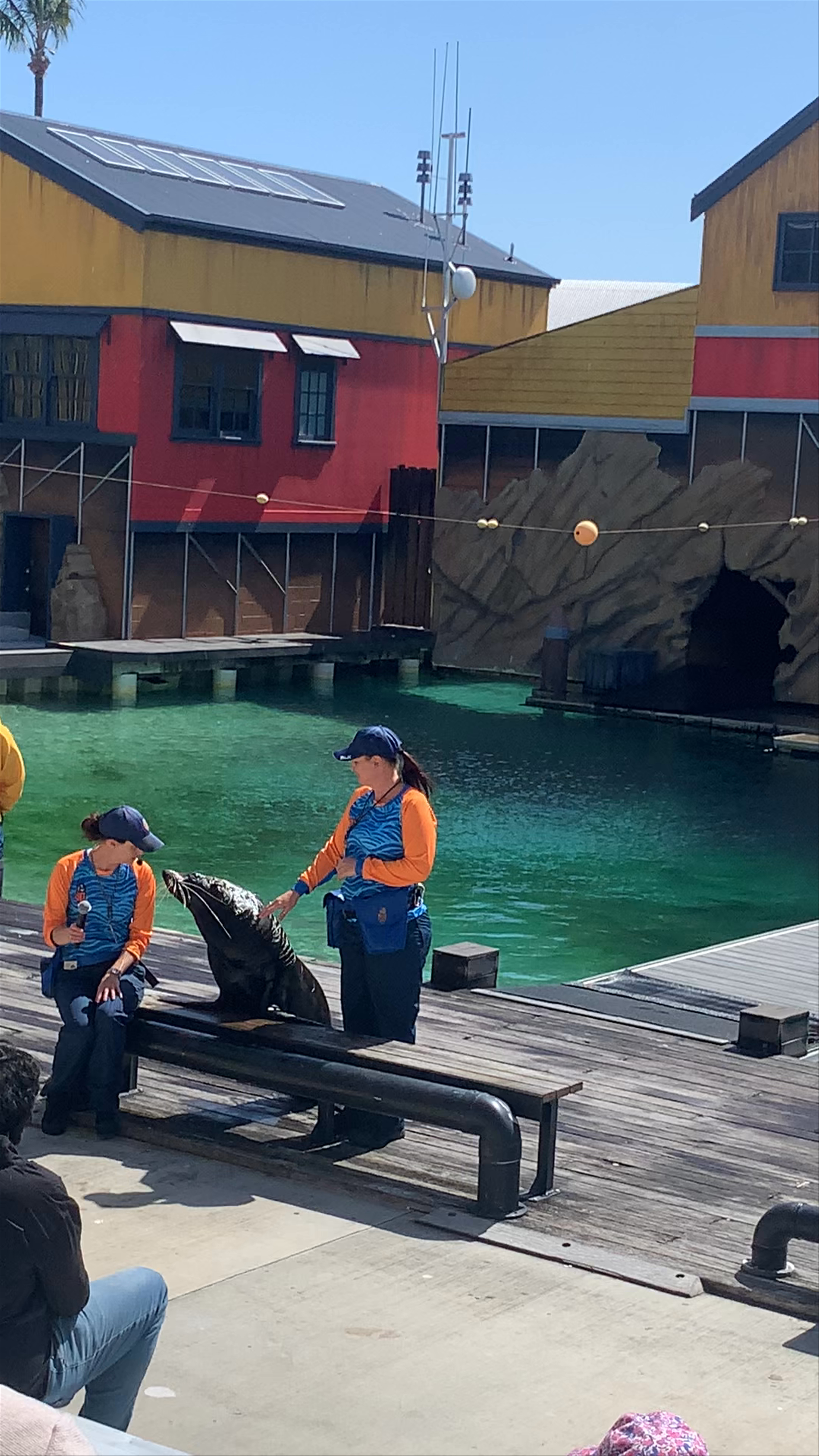 Sea World