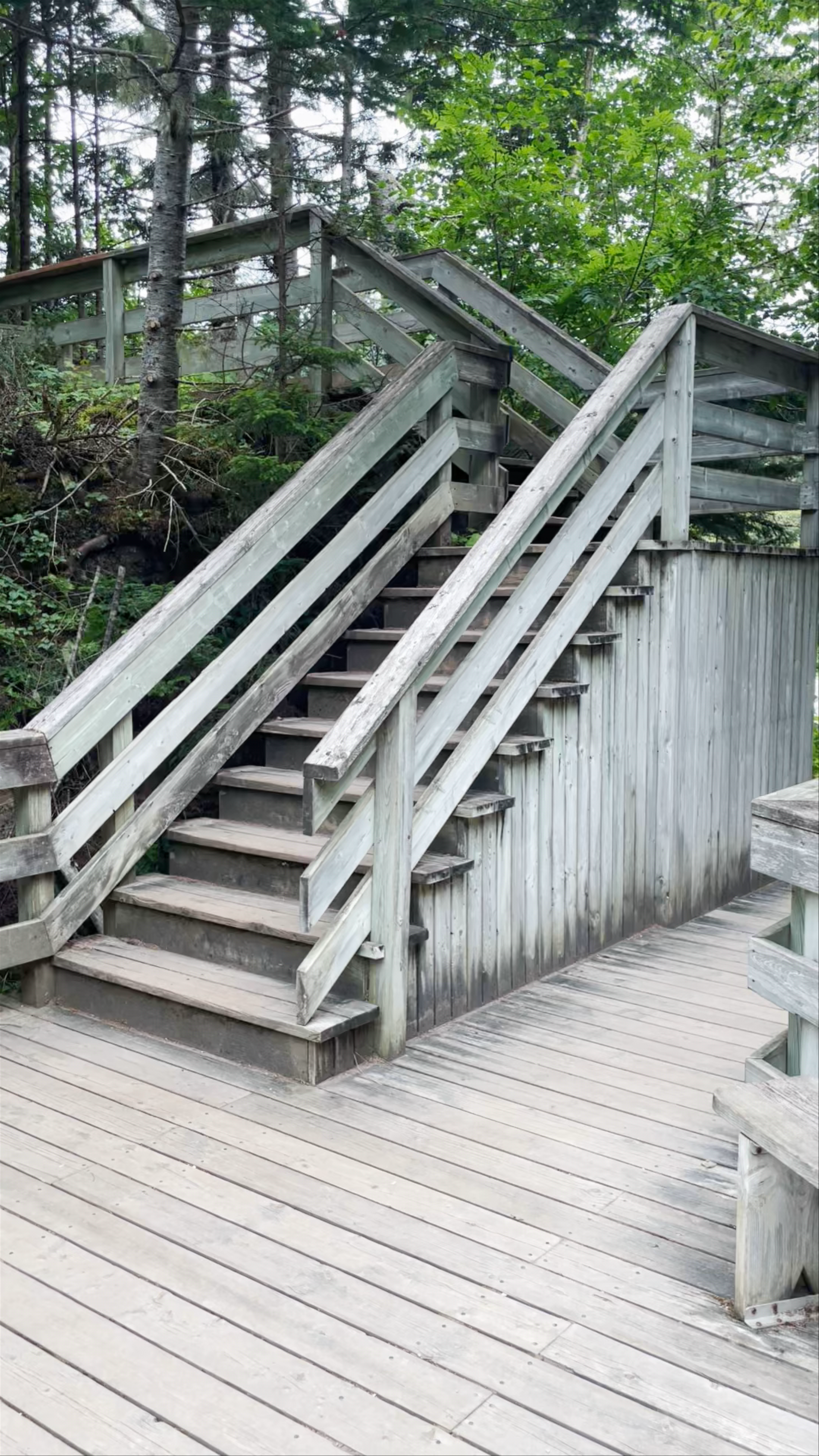 Historic Point Wolfe Bridge: Nature and Heritage in Alma, New Brunswick