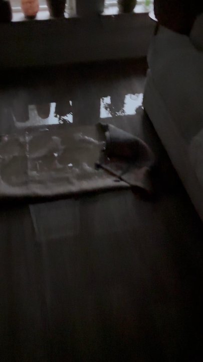 The Pierpont - Apt flooded - Apartments Near Me - Spring, Texas