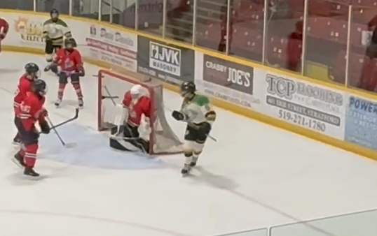 Andre Bladowski's Michigan Goal - Jr. Knights U15 AA Highlight