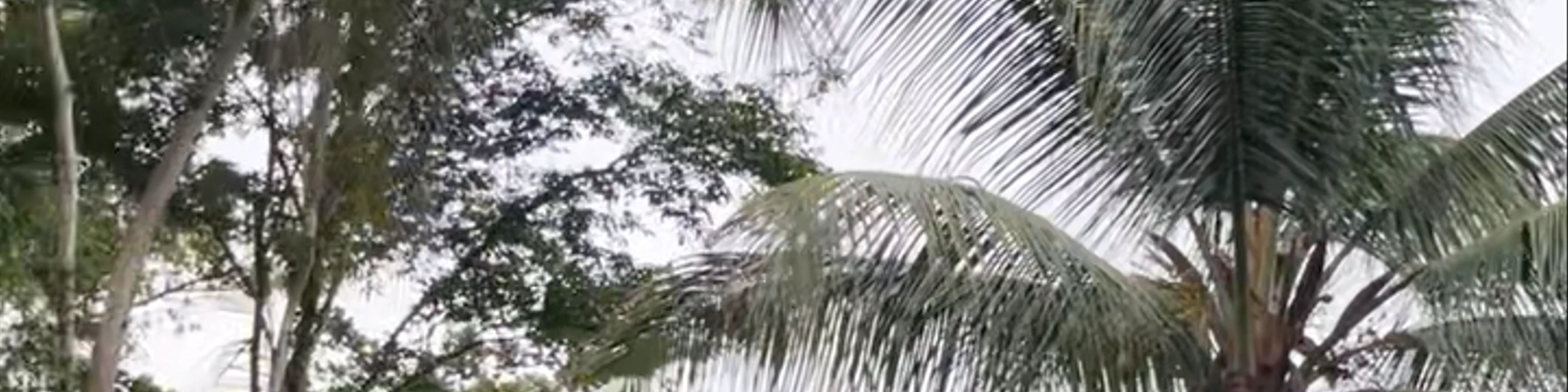 Playa Grande en Cahuita