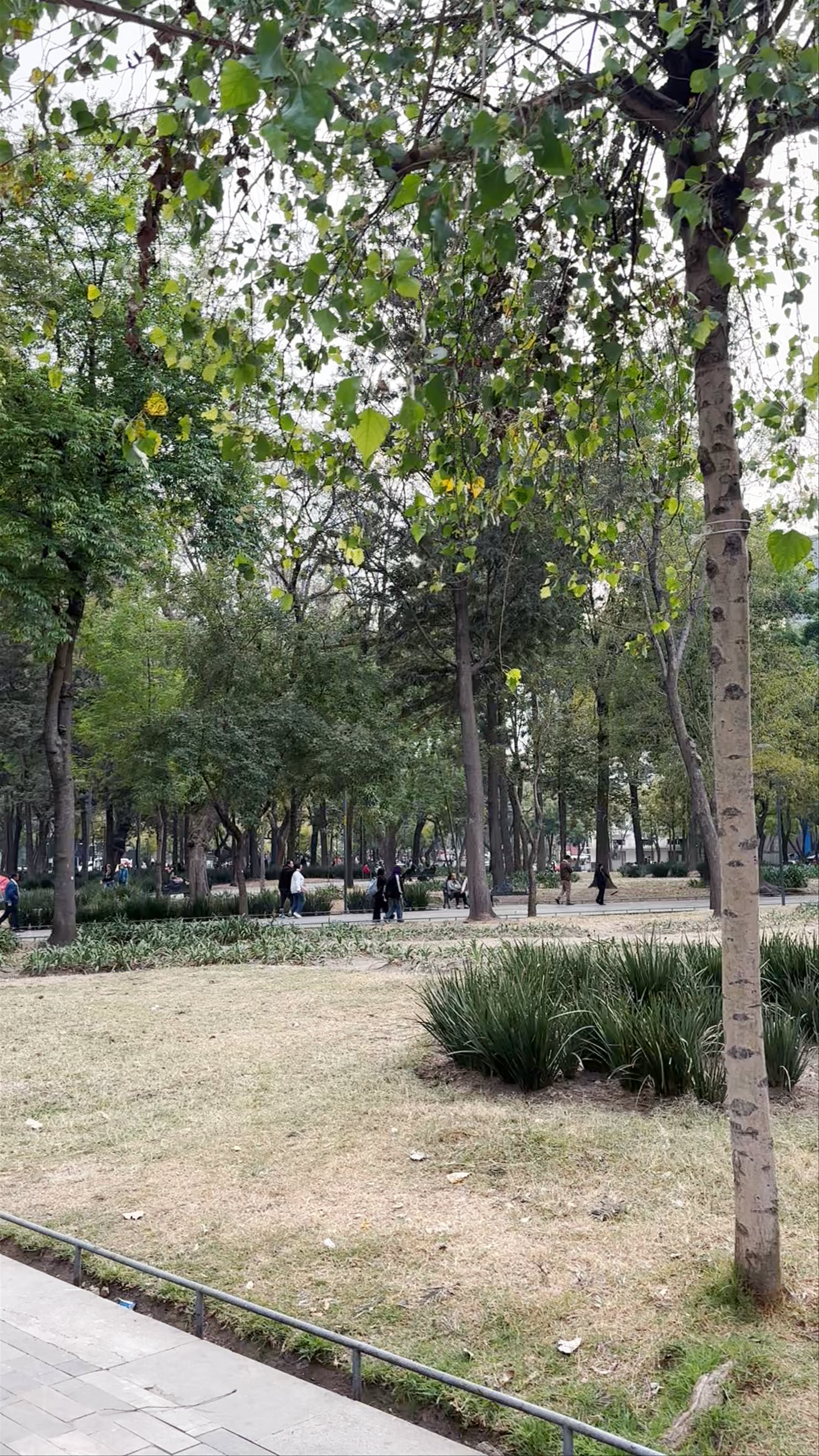 Fuente de las Náyades