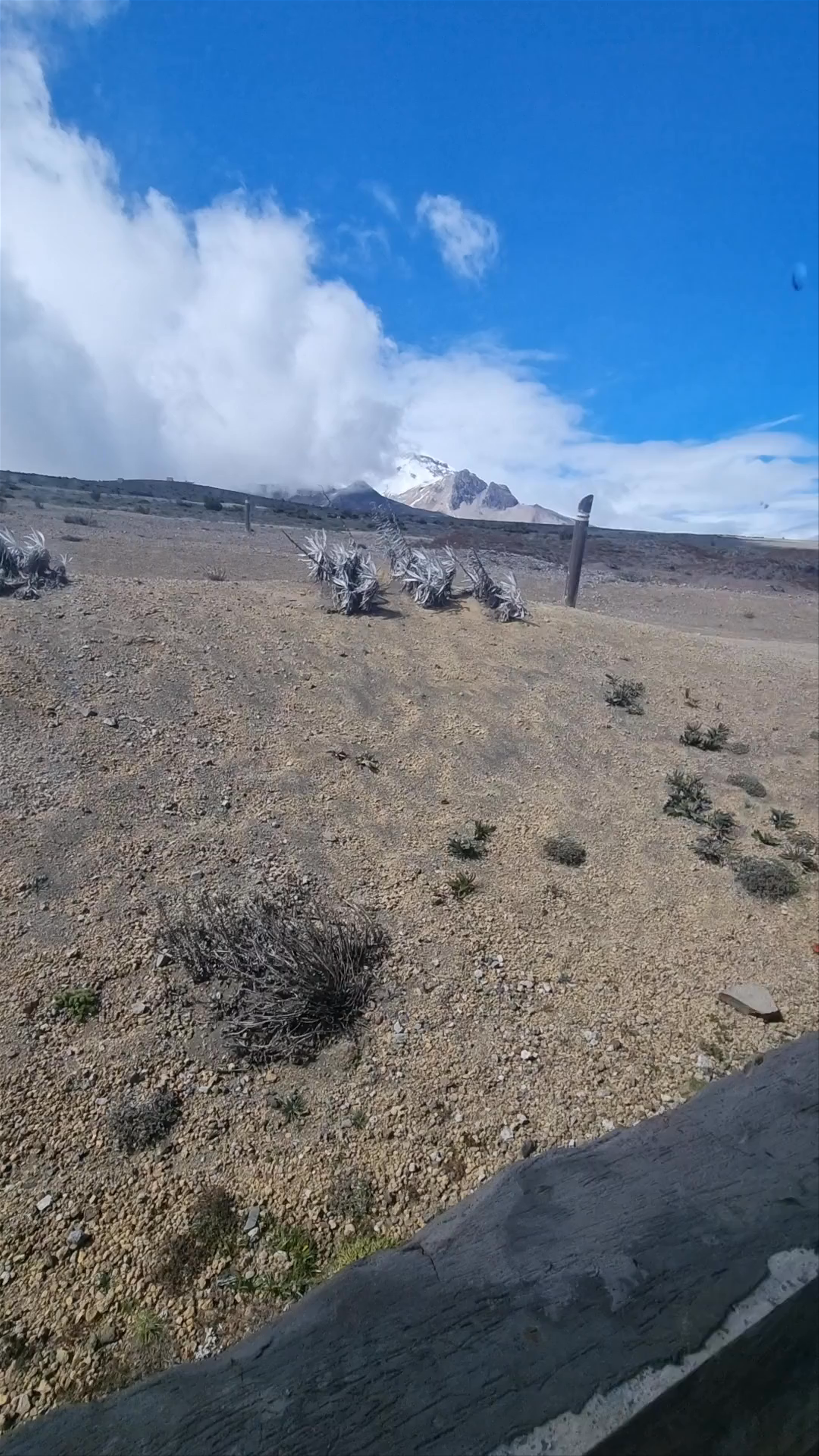 Reserva de Producción de Fauna Chimborazo