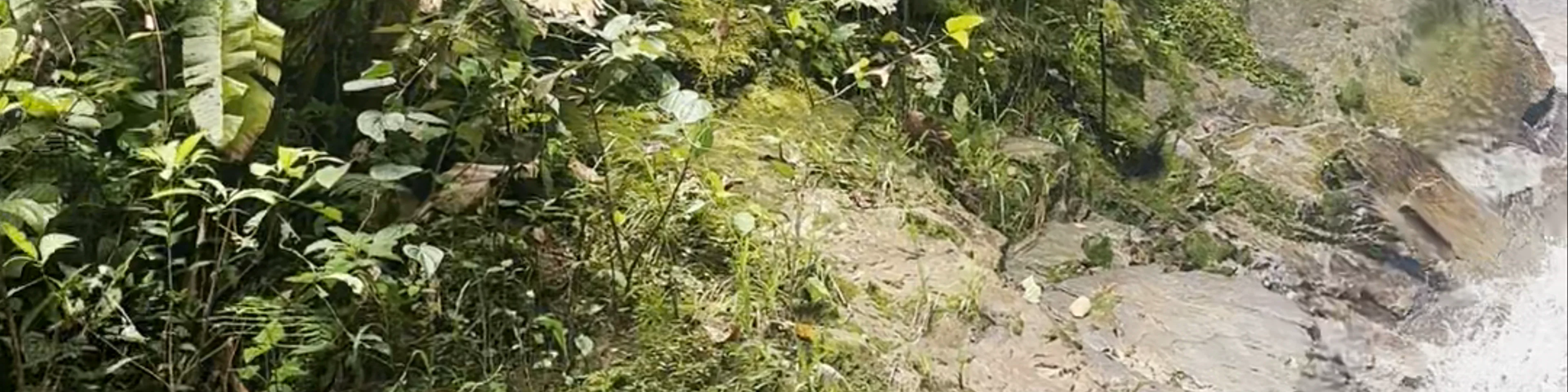 Ecoposada Montefiore