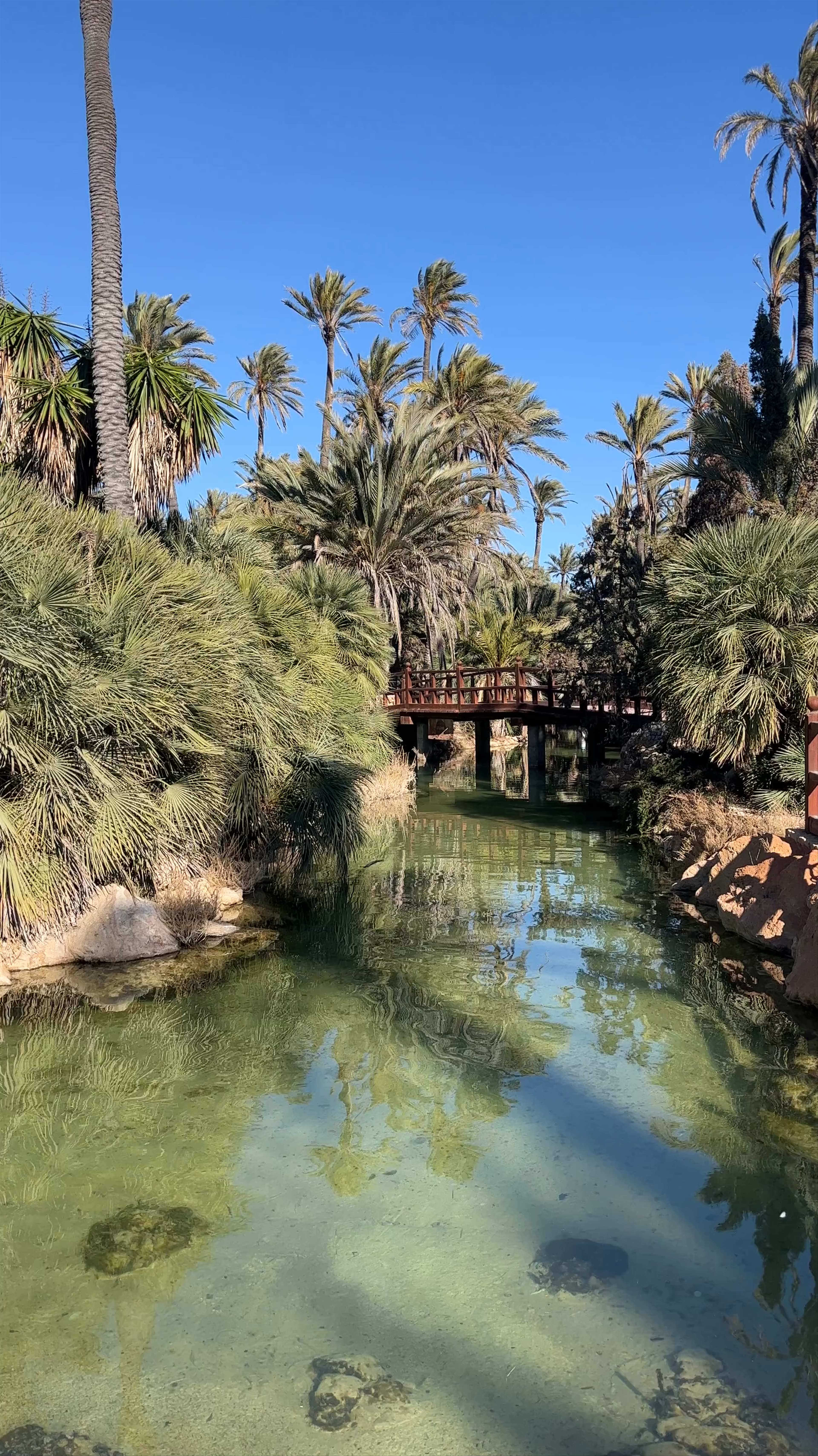Parc El Palmeral