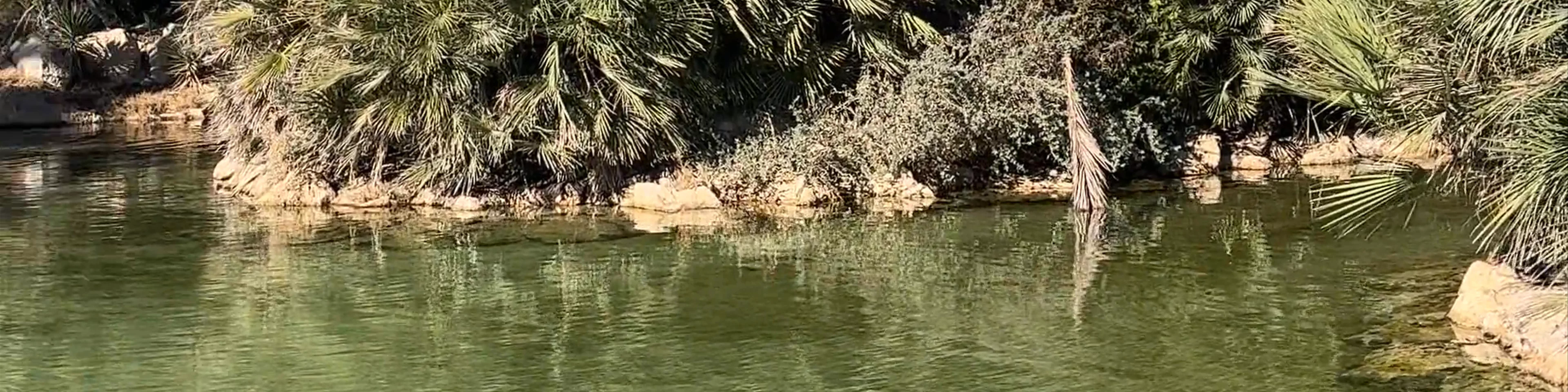Parc El Palmeral