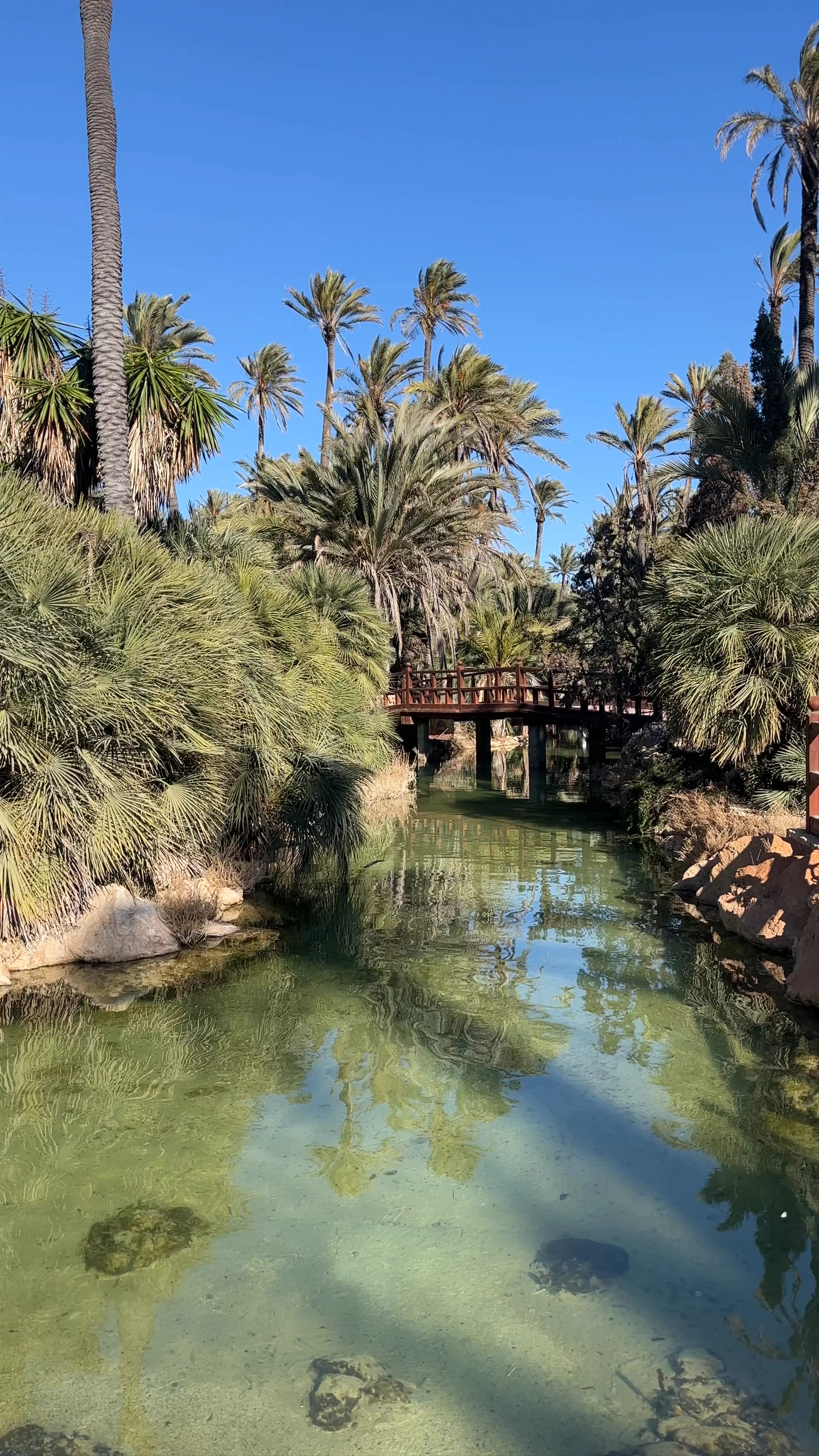 Parc El Palmeral