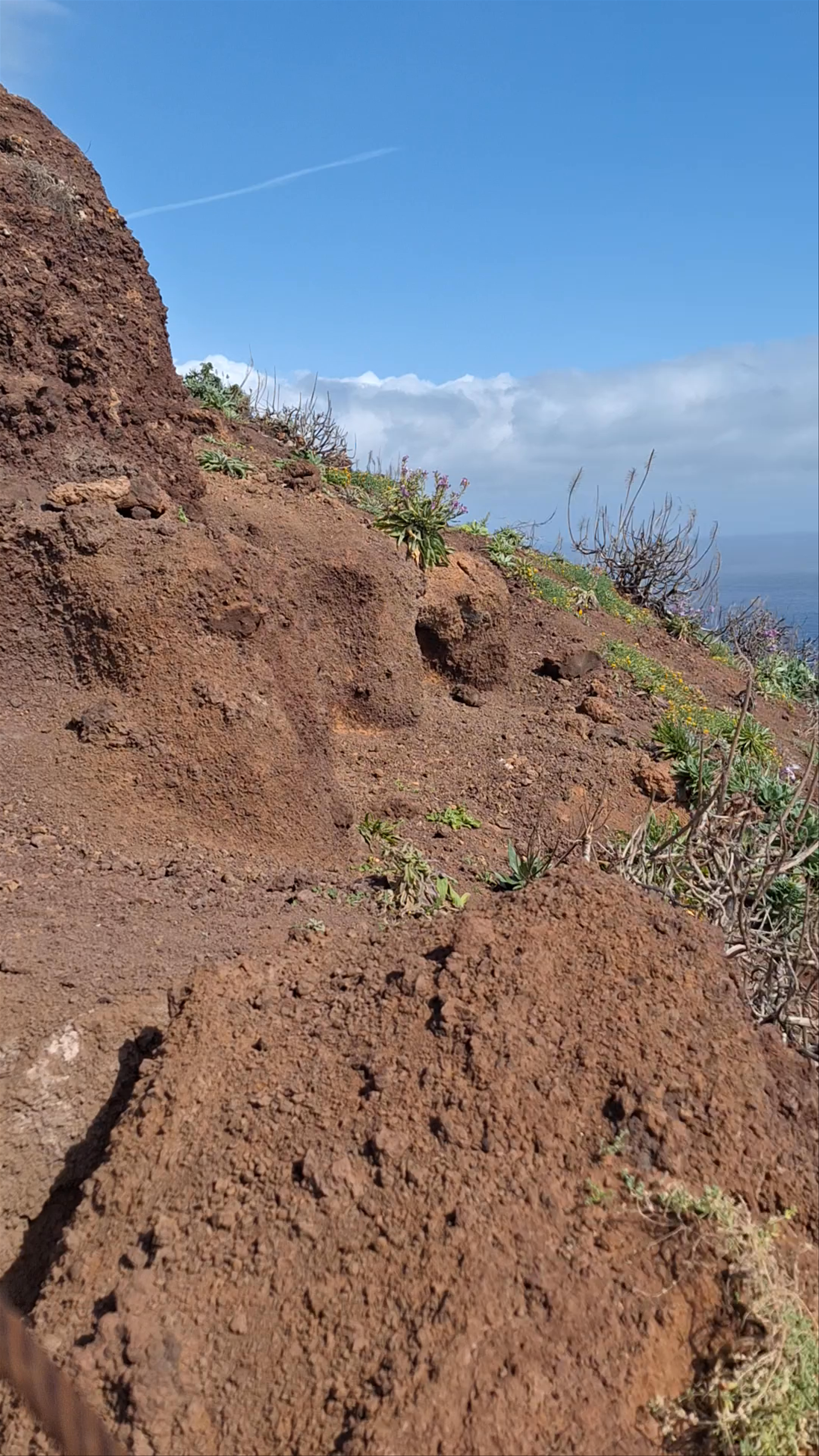 Ponta de São Lourenço
