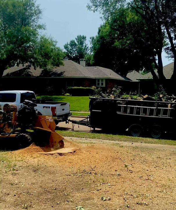 Everest  Tree Service - Tree stump grinding - Tree Services Near Me