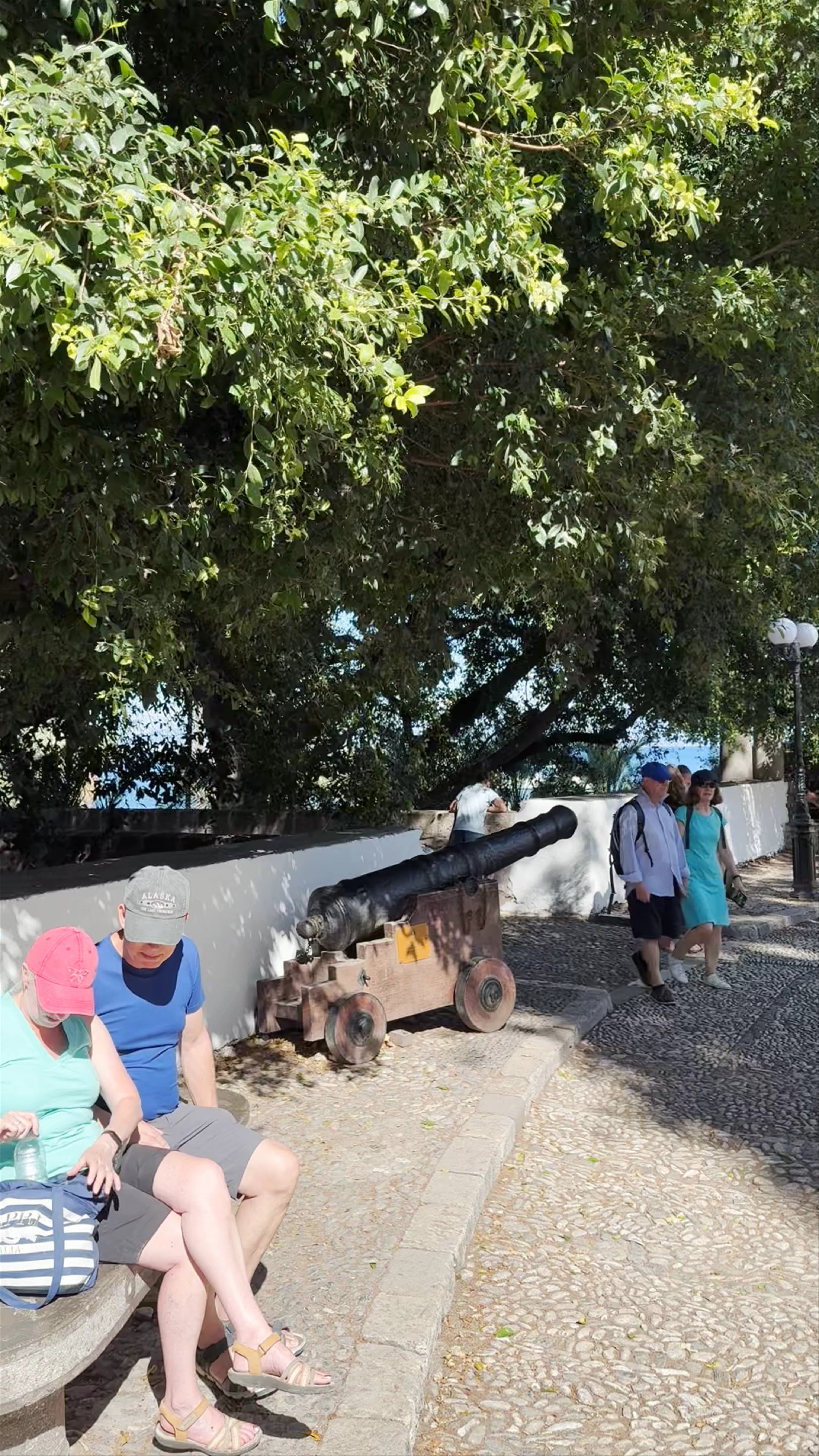 Hippocrates Tree, Kos, Greece