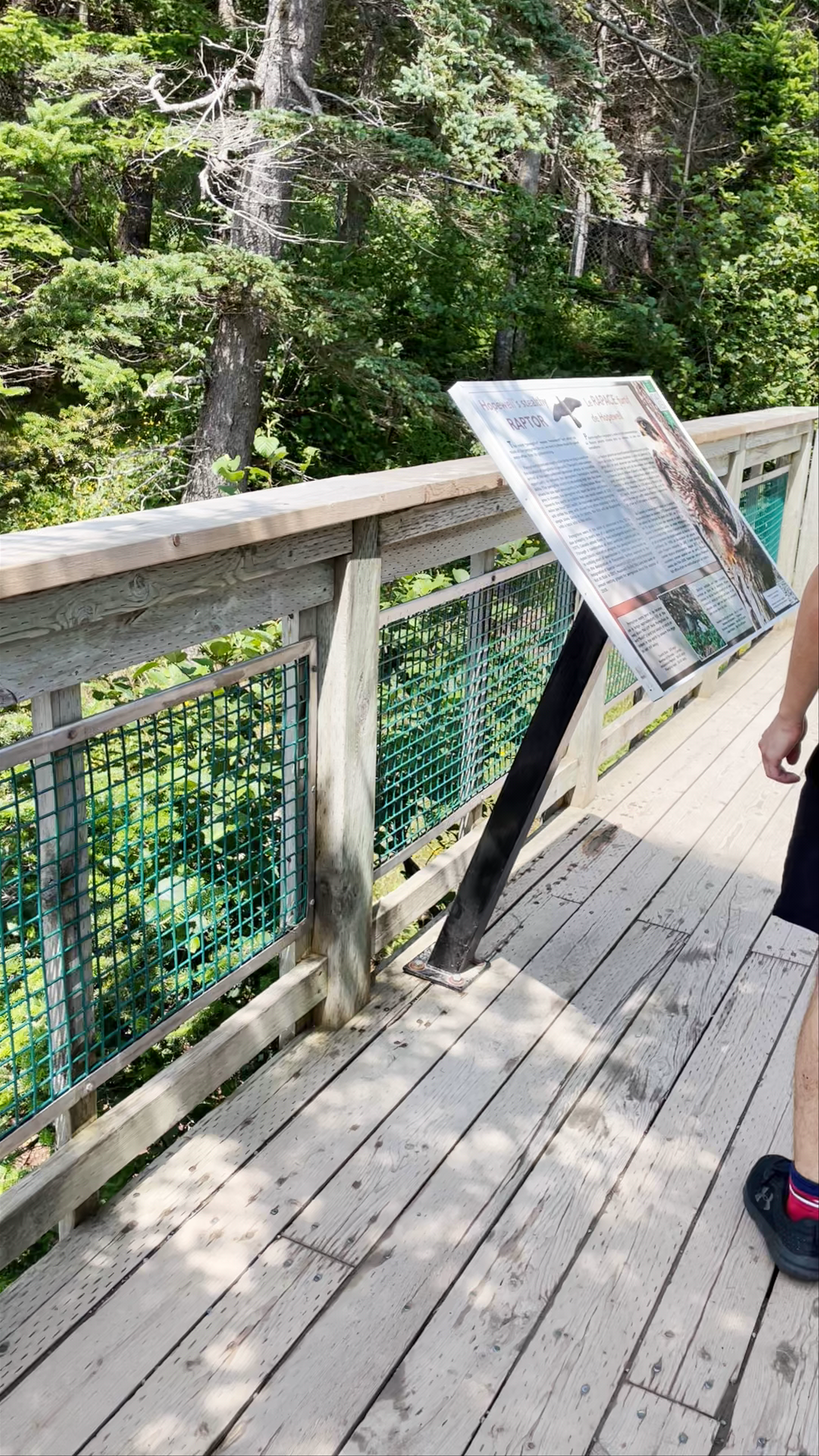 Hopewell Rocks Provincial Park