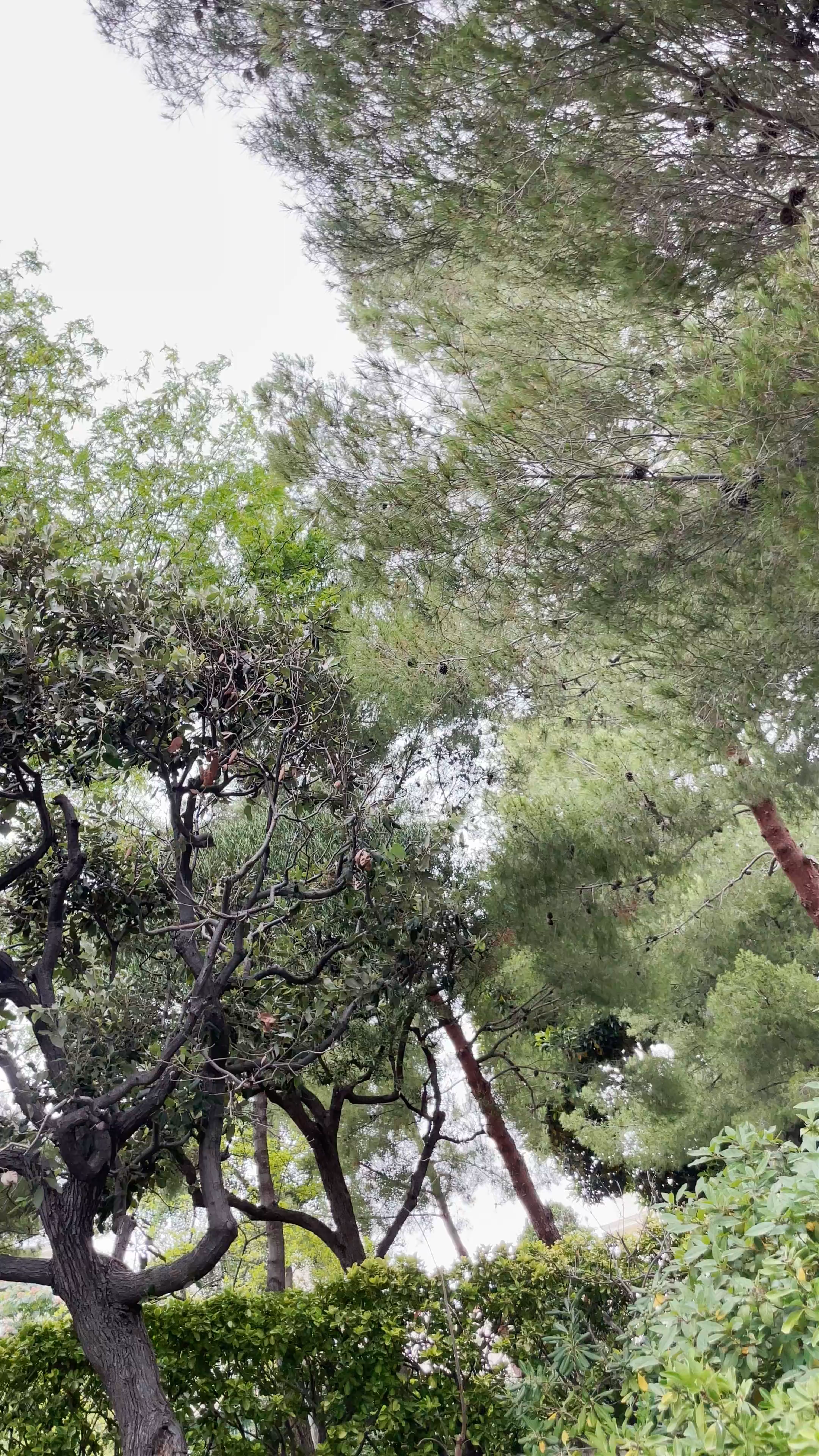 Jardines de San Martín