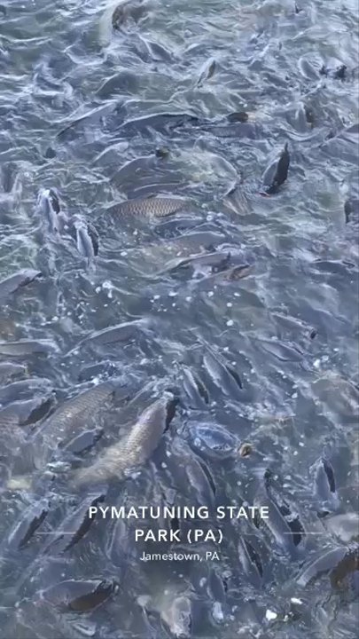 Pymatuning Spillway - Parks Near Me