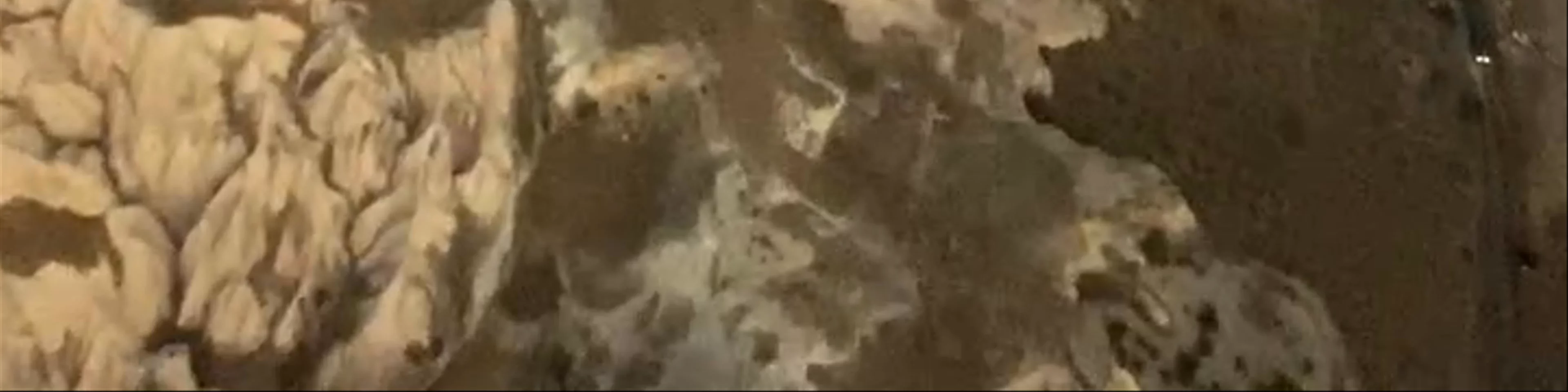Cappadocia Balloon Flights