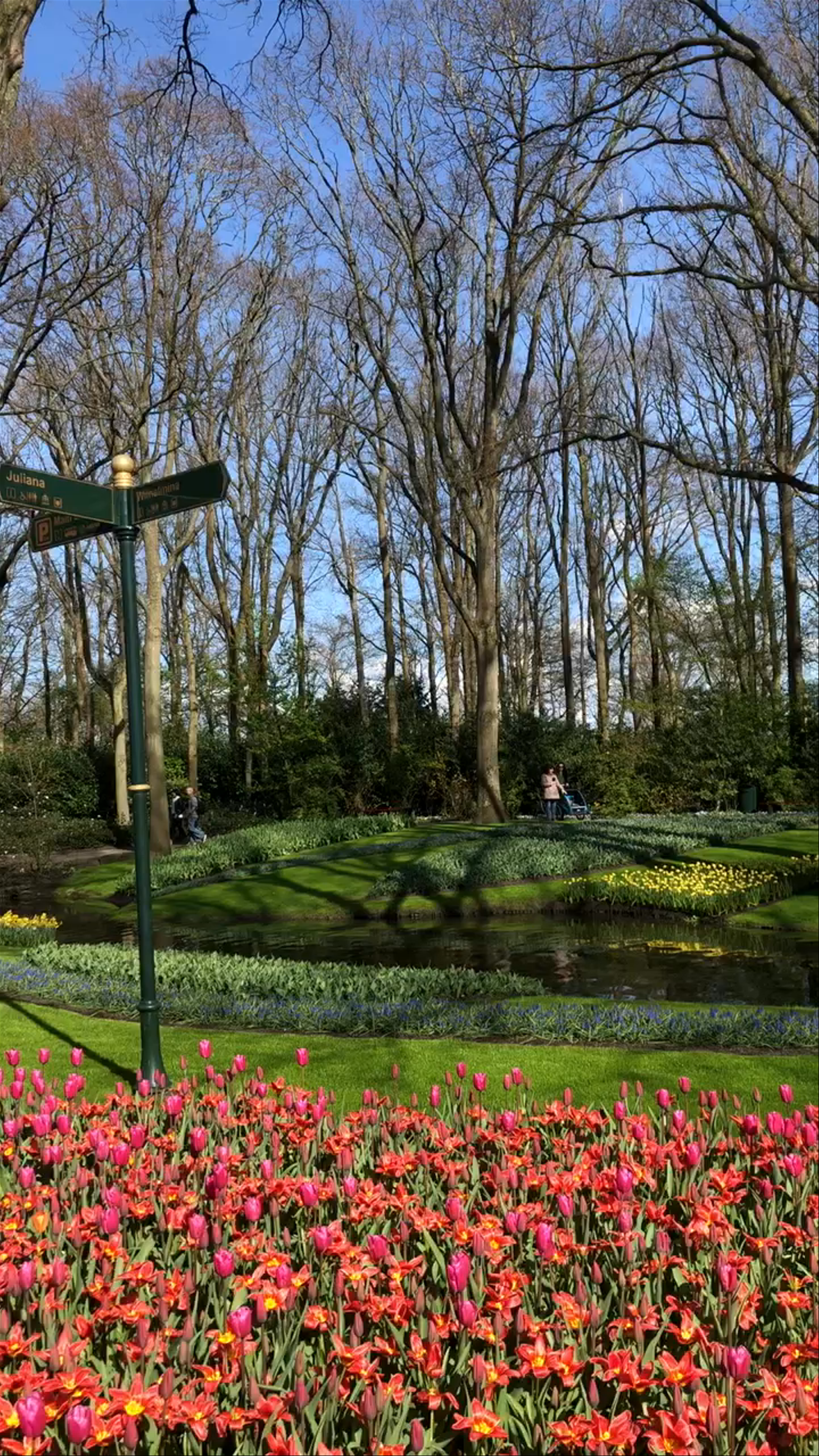 Keukenhof