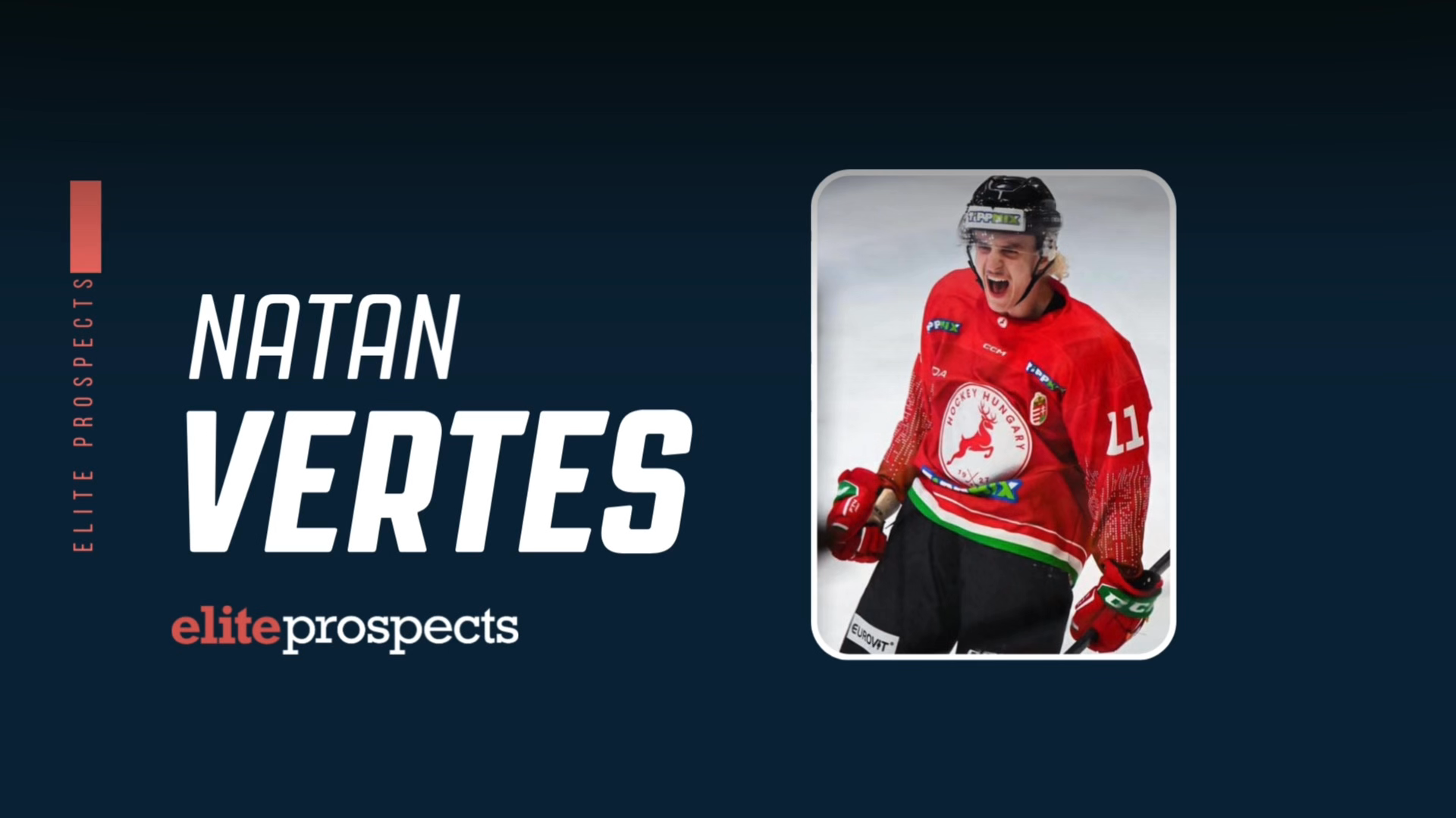 Natan Vertes Highlight Video