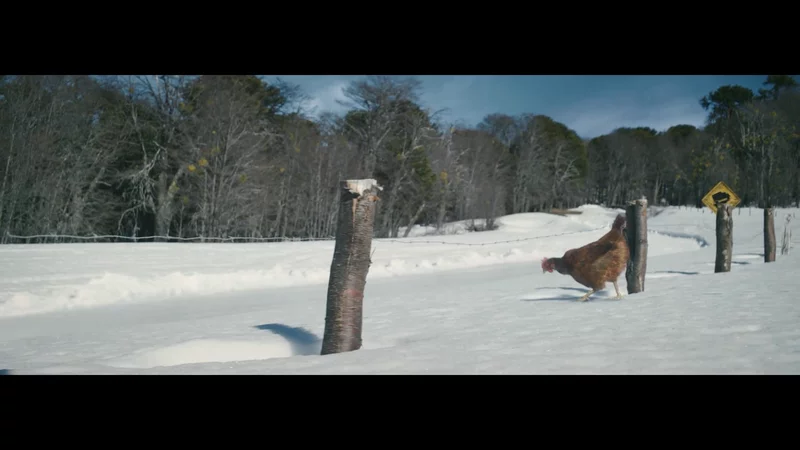 KFC — KFC