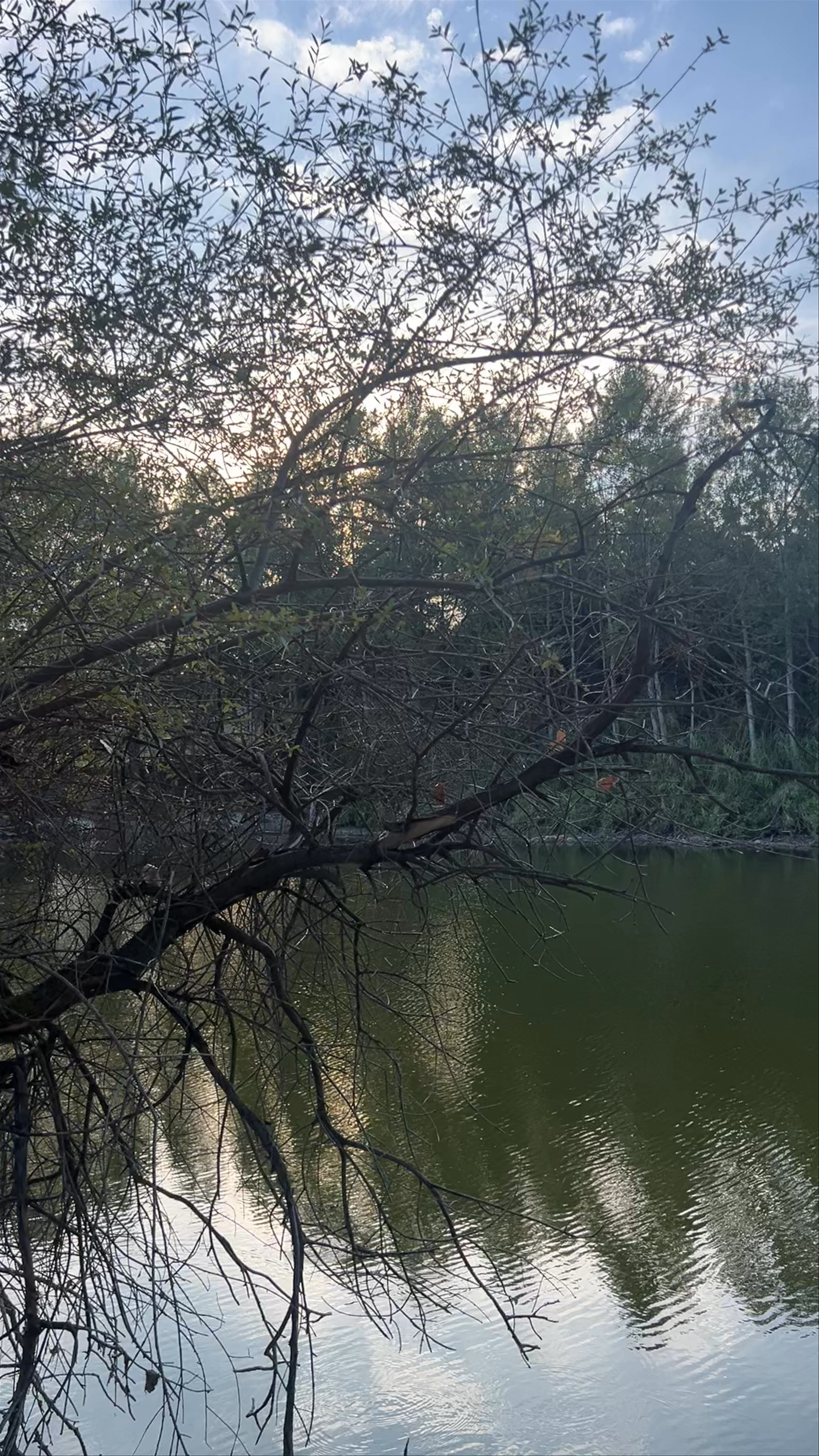 Oreokastro Lake